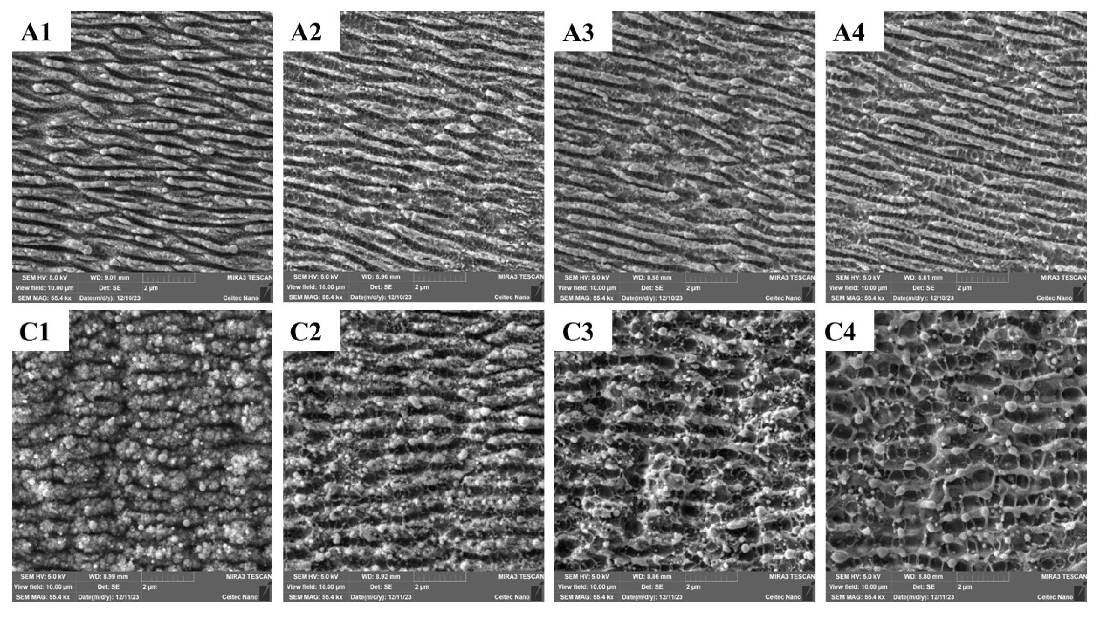 Applsci 14 03164 g003 Applsci 14 03164 g003