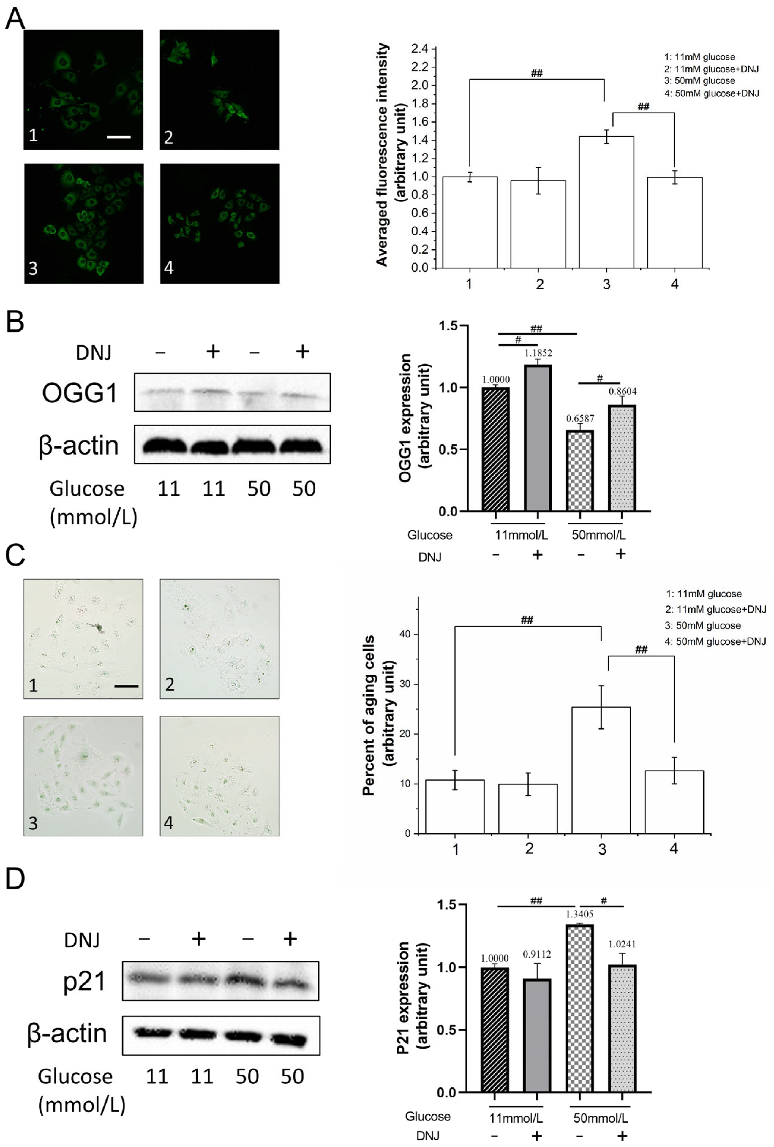 Applsci 14 03186 g002