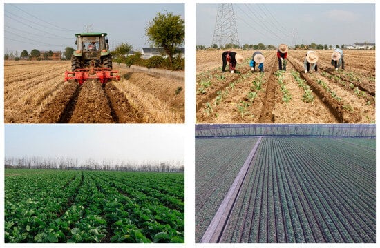 Applsci 14 03207 g0a1