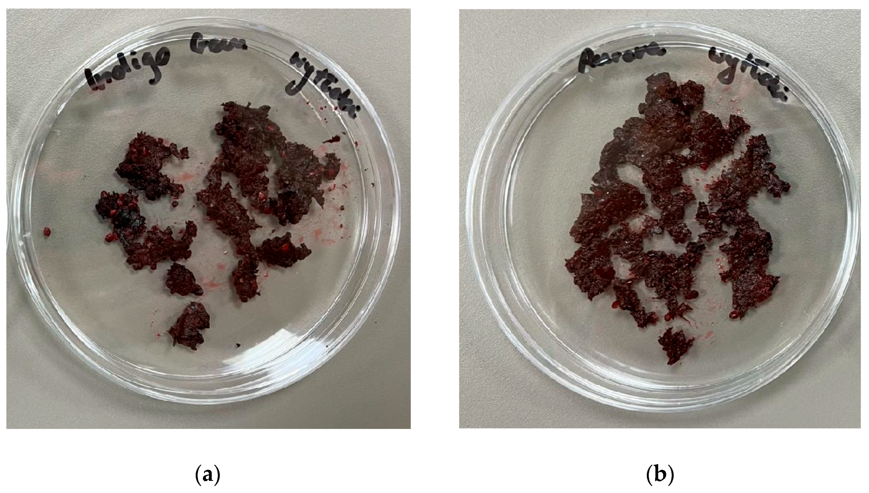 Applsci 14 03218 g001