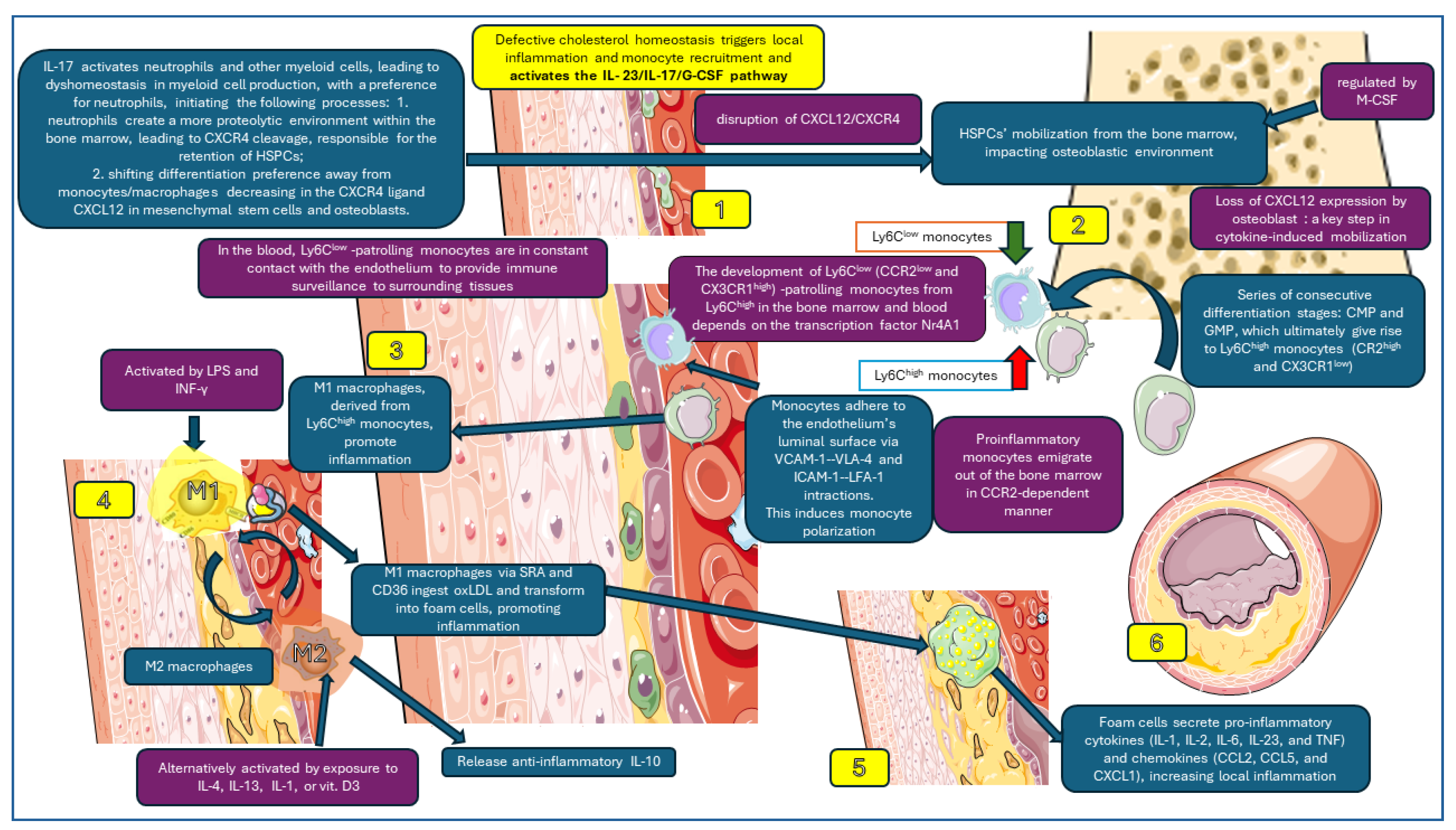 Applsci 14 03219 g002 Applsci 14 03219 g002