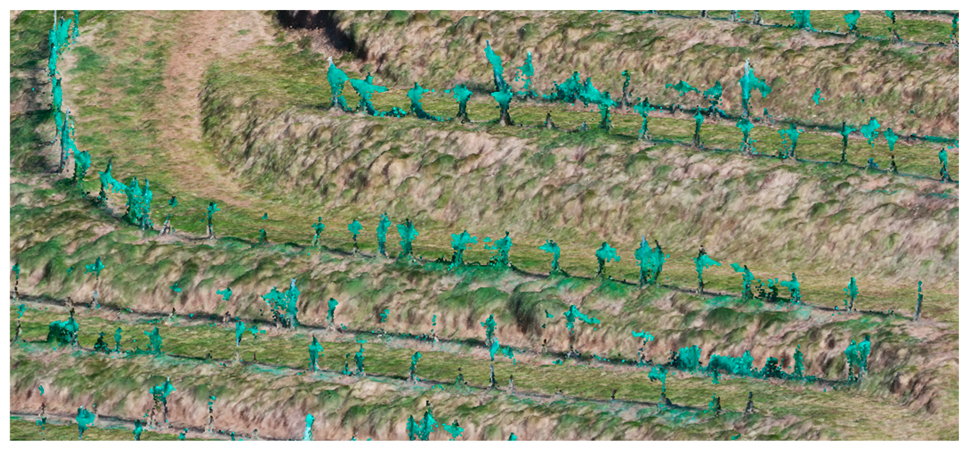 Applsci 14 03264 g004