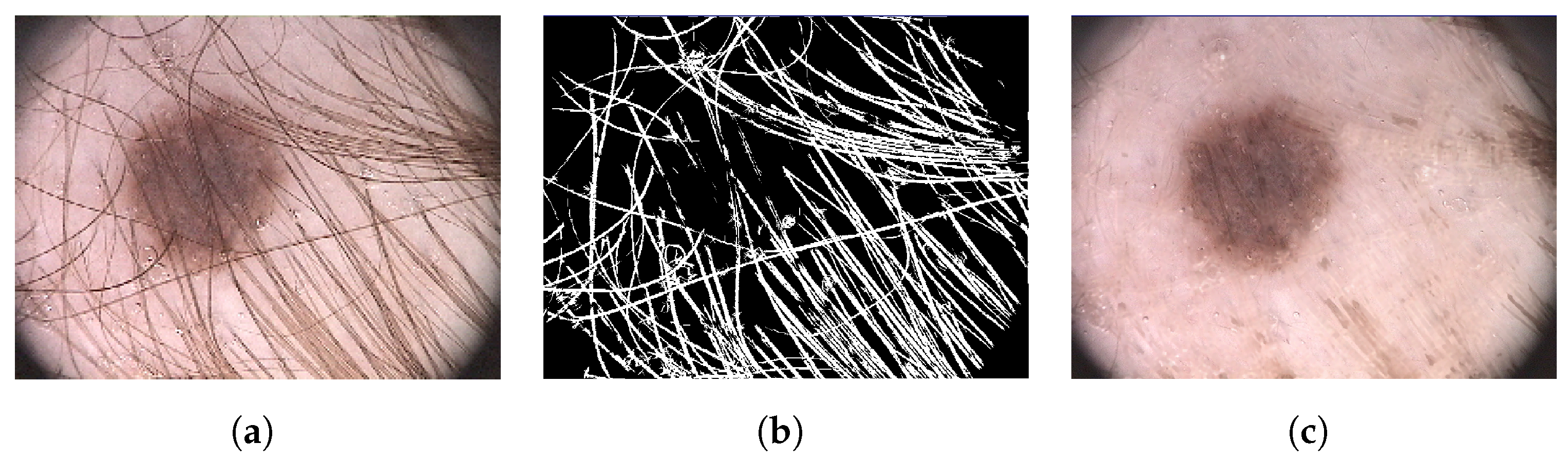Applsci 14 03297 g002
