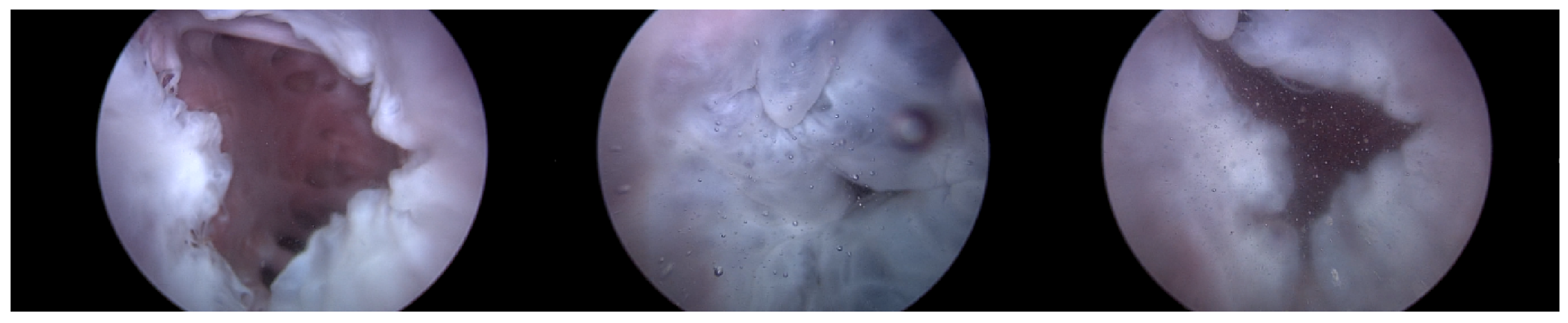 Applsci 14 03307 g007