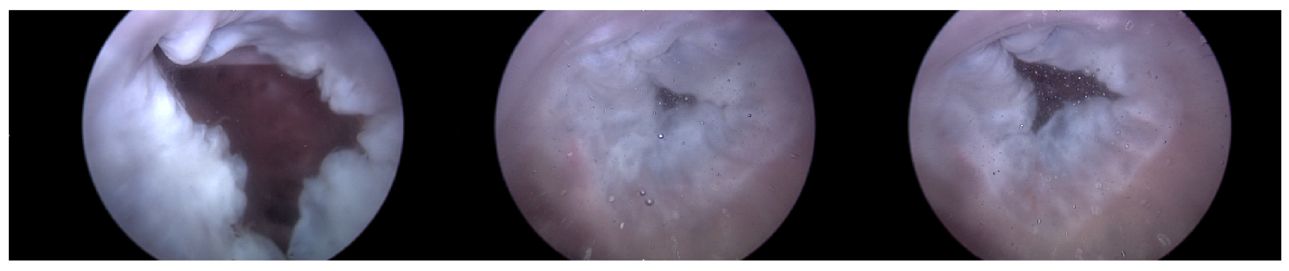 Applsci 14 03307 g011