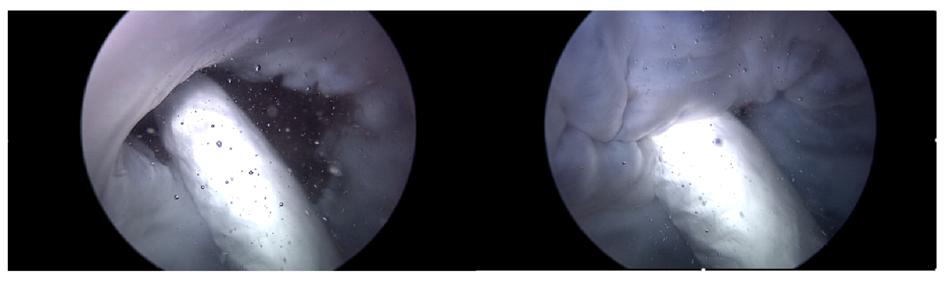 Applsci 14 03307 g015