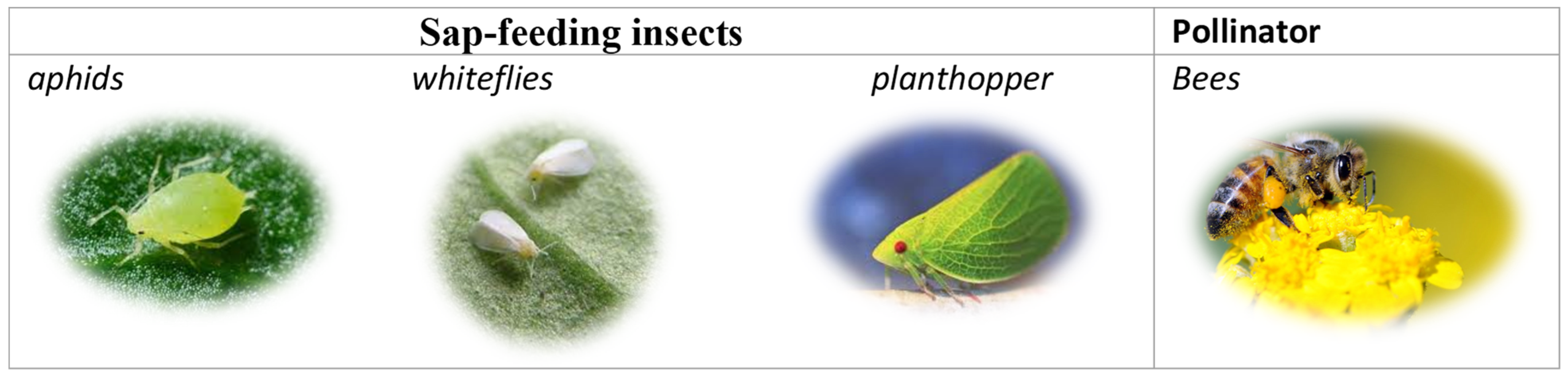 Applsci 14 03310 g002