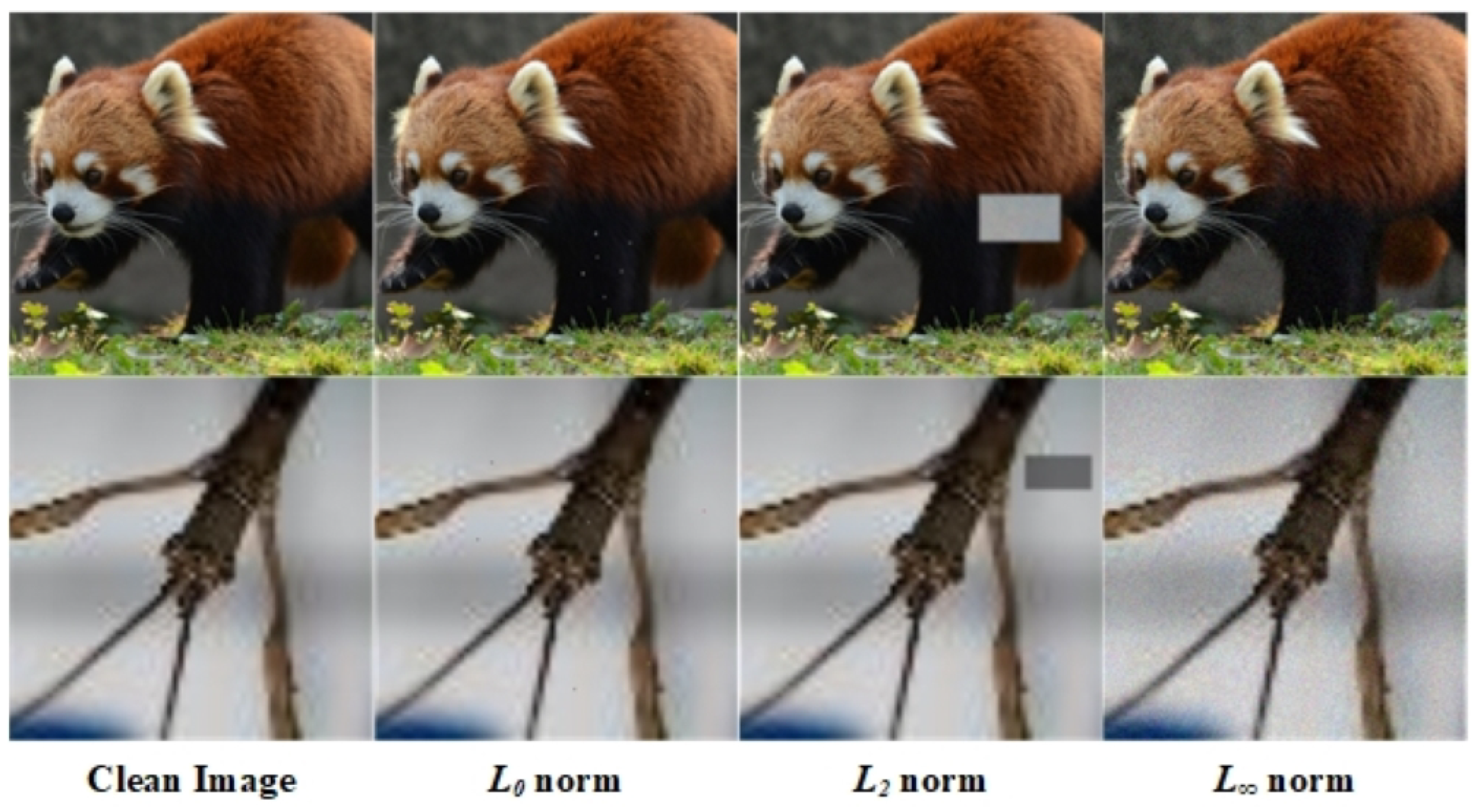 Applsci 14 03315 g001