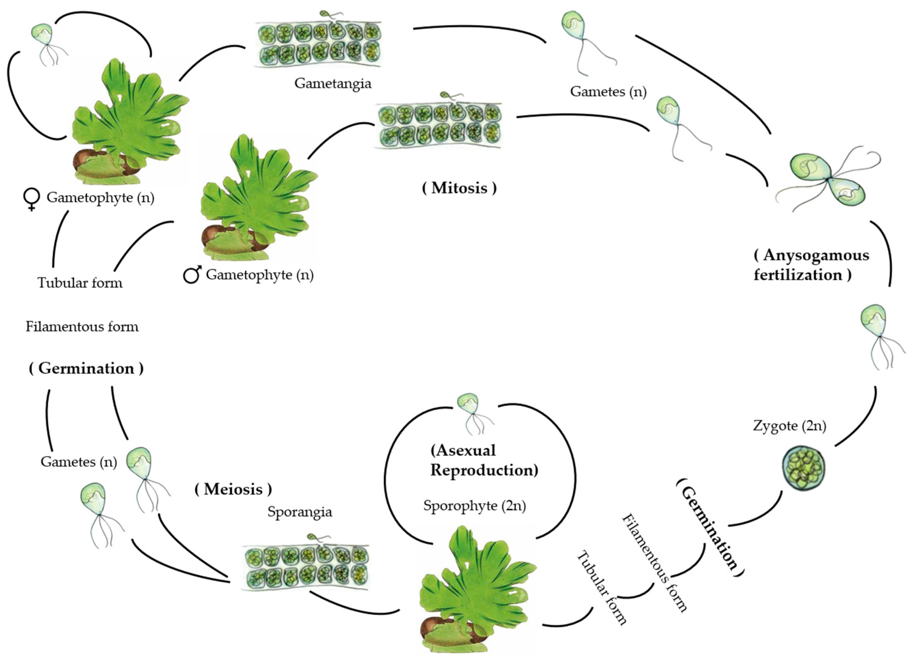 Applsci 14 03448 g002