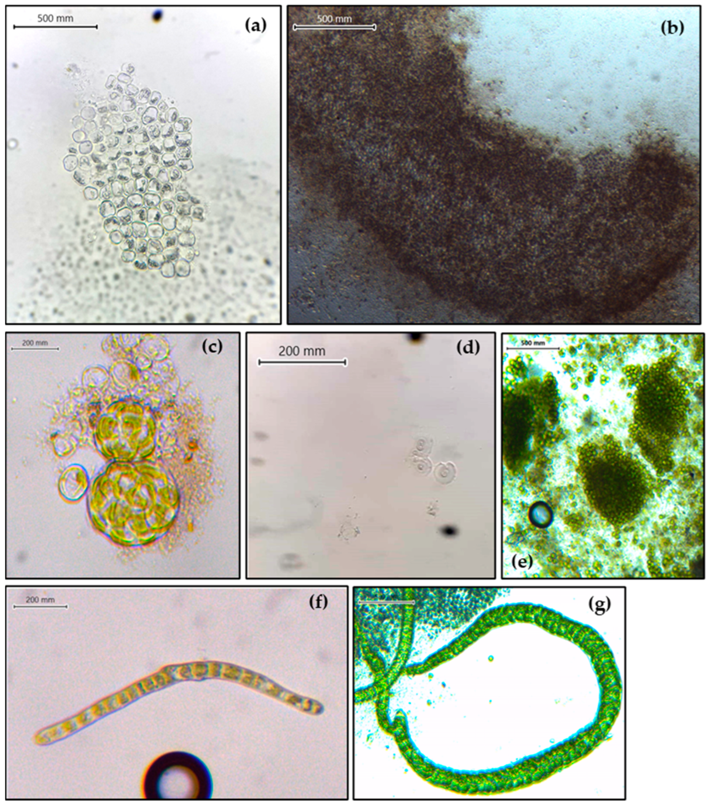 Applsci 14 03448 g004