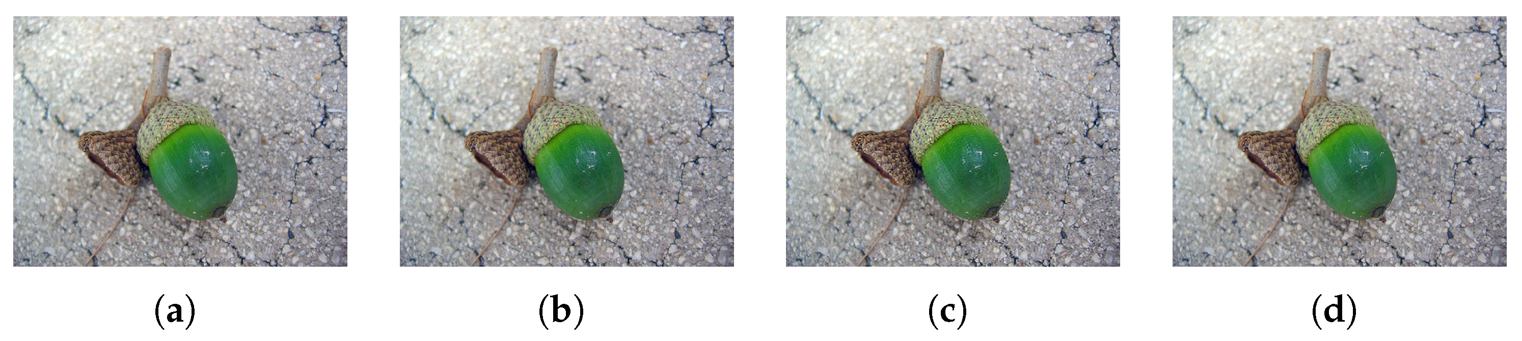 Applsci 14 03493 g007