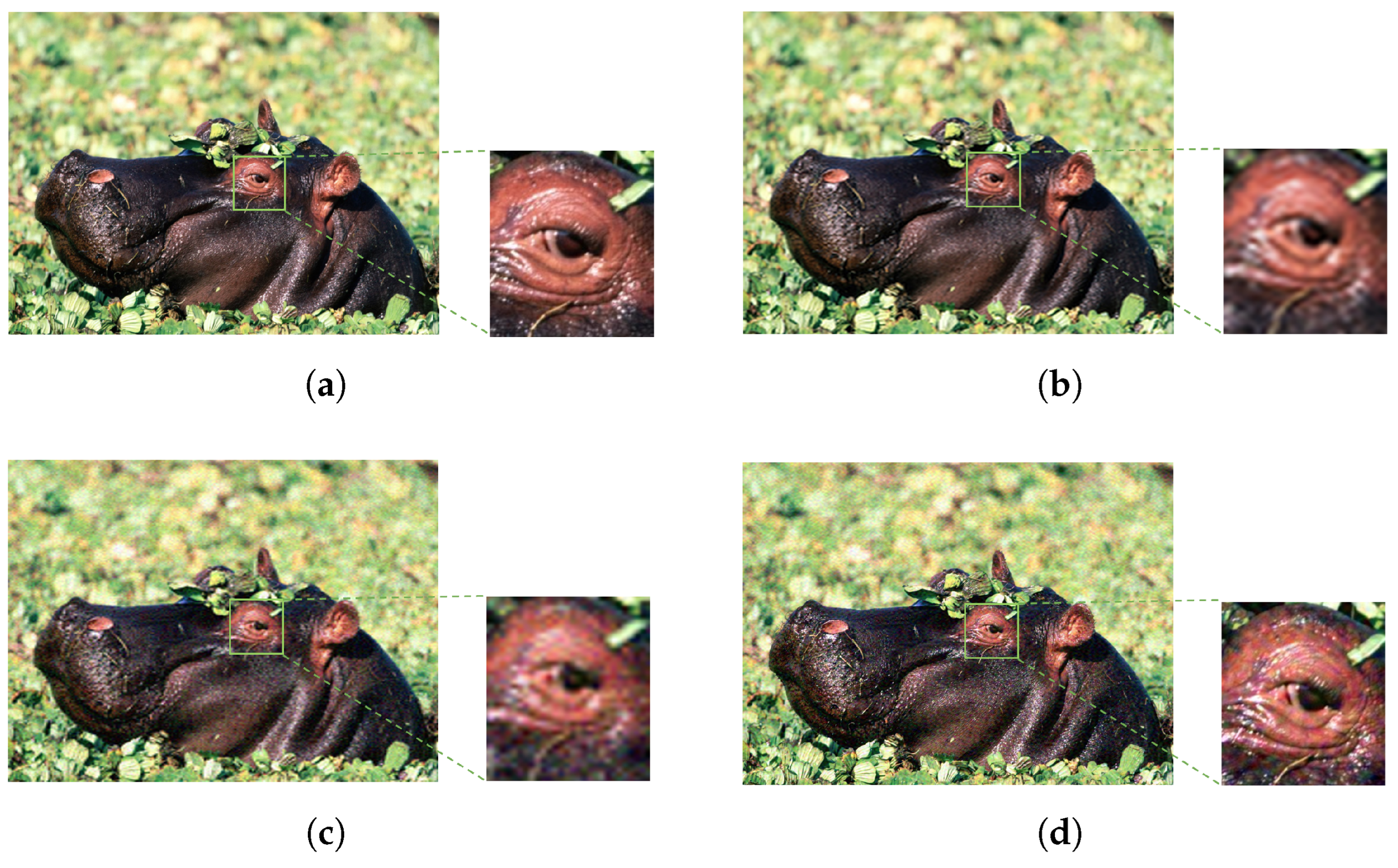 Applsci 14 03493 g010