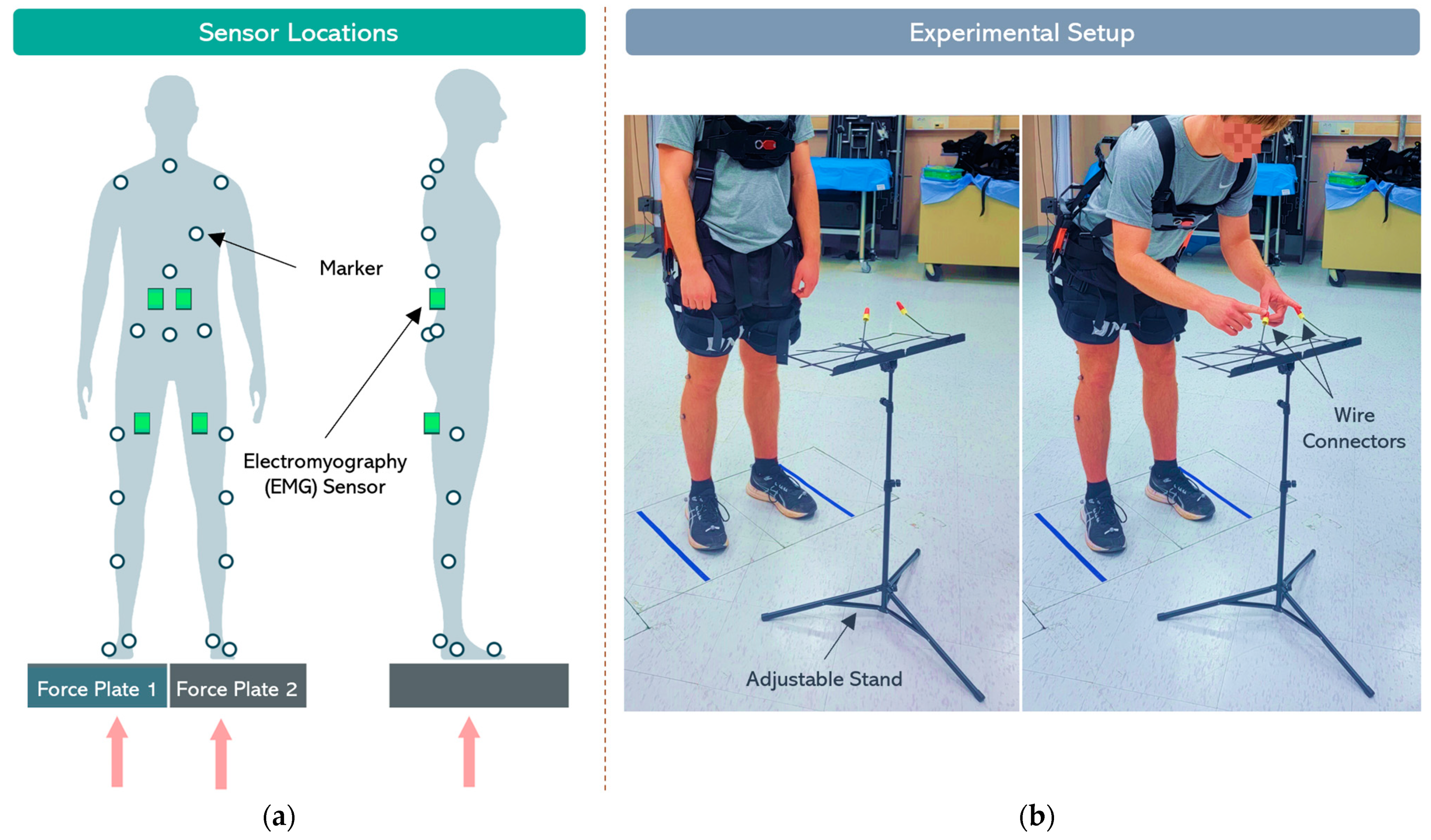 Applsci 14 03563 g001