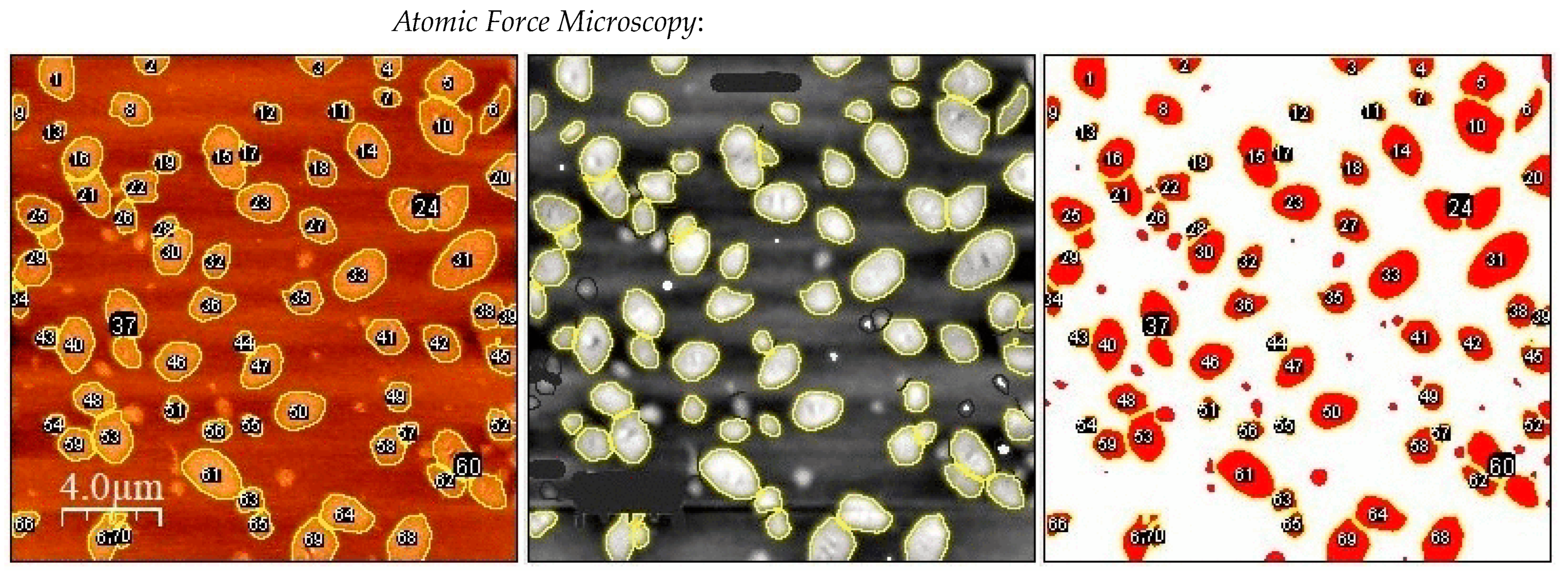 Applsci 14 03567 g005 Applsci 14 03567 g005