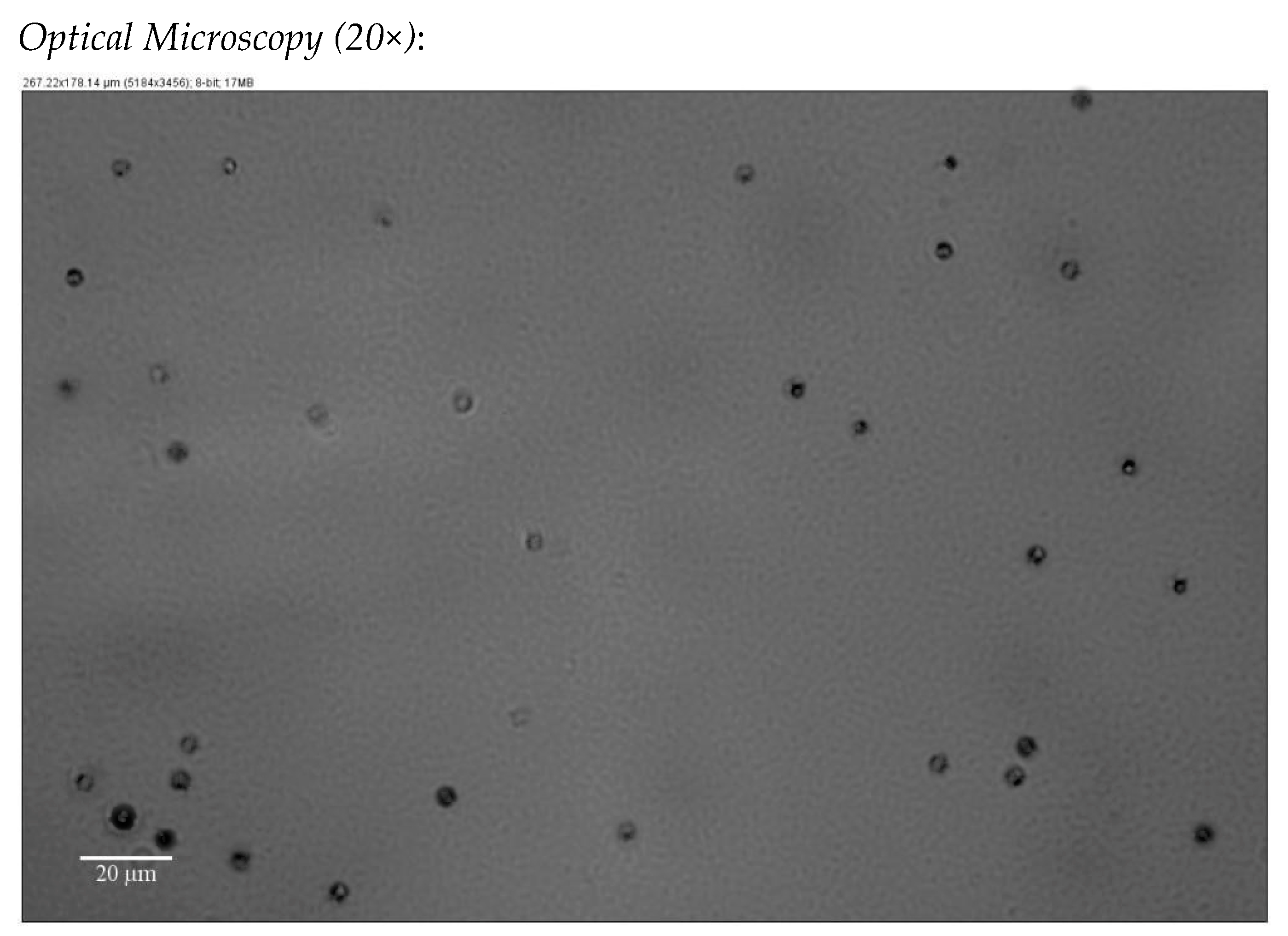 Applsci 14 03567 g006 Applsci 14 03567 g006