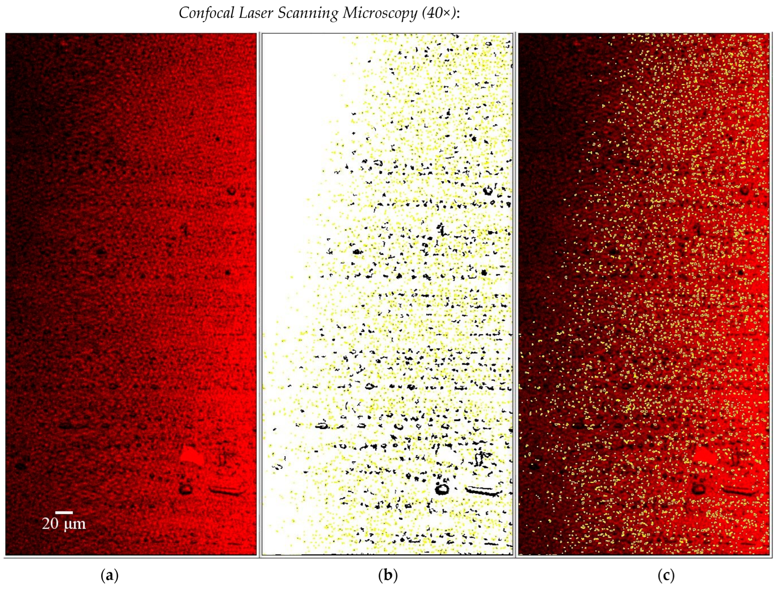 Applsci 14 03567 g007 Applsci 14 03567 g007