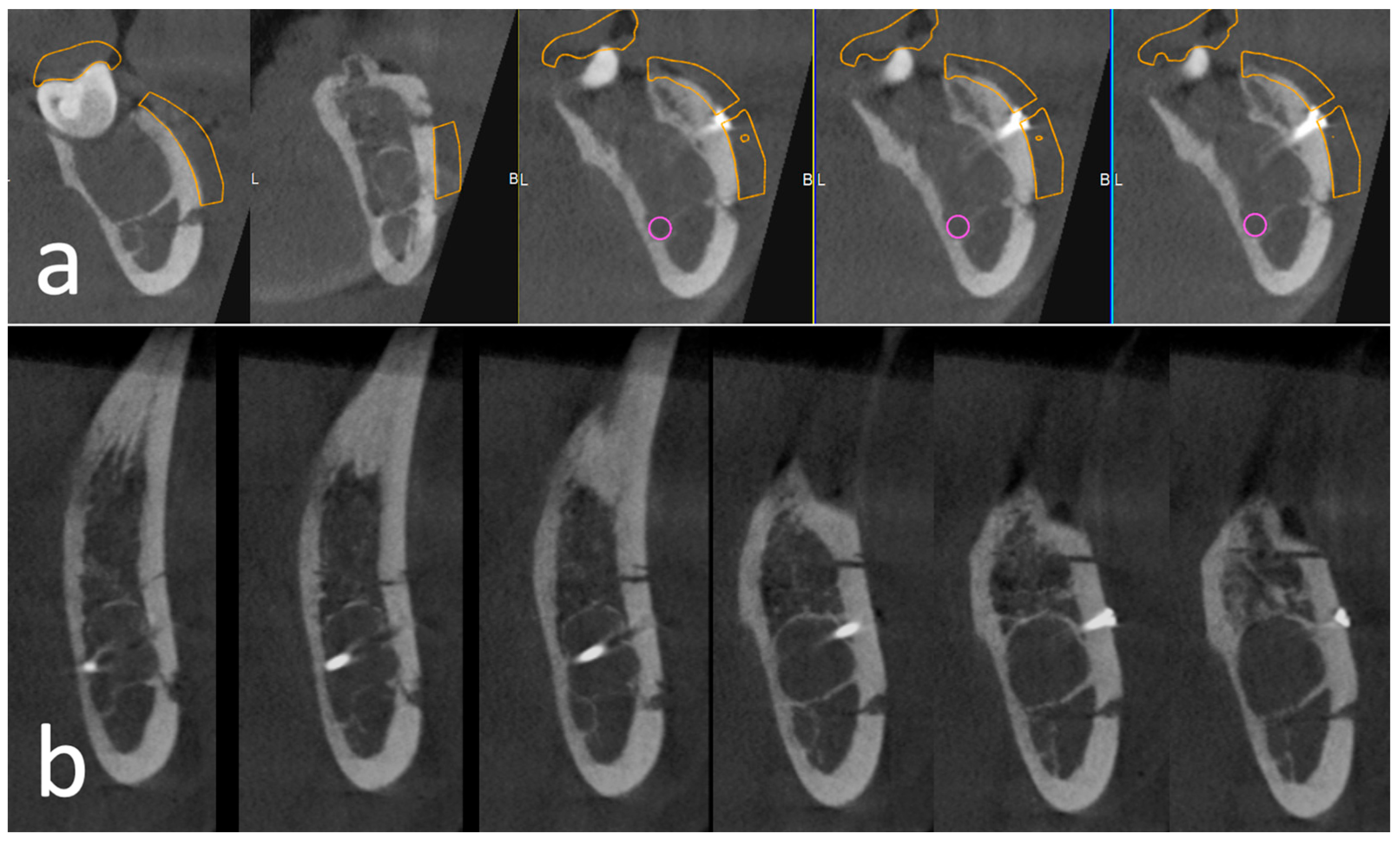 Applsci 14 03580 g006