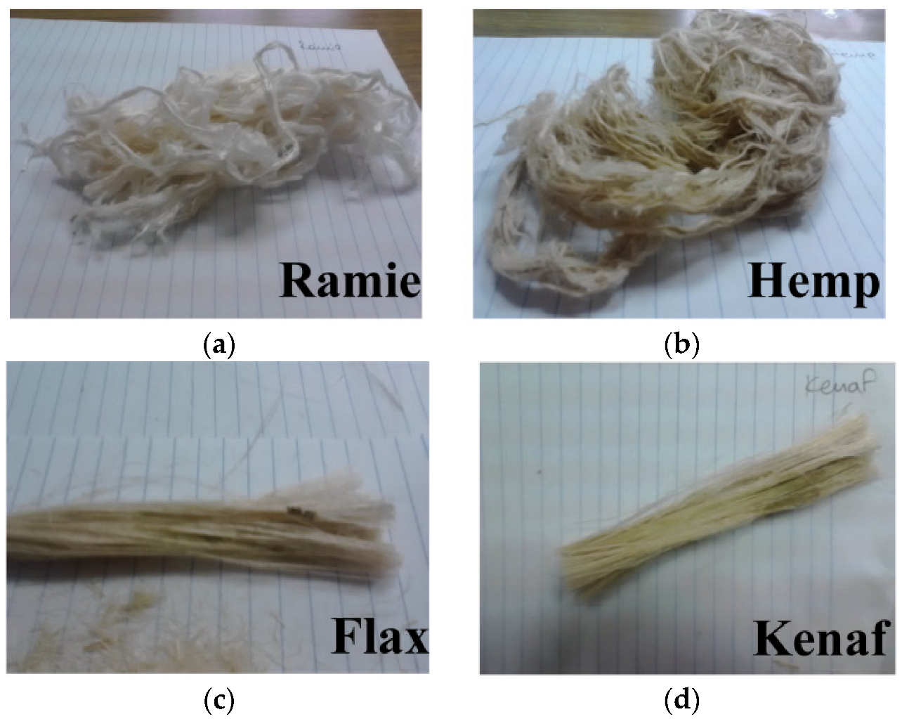 Applsci 14 03582 g001