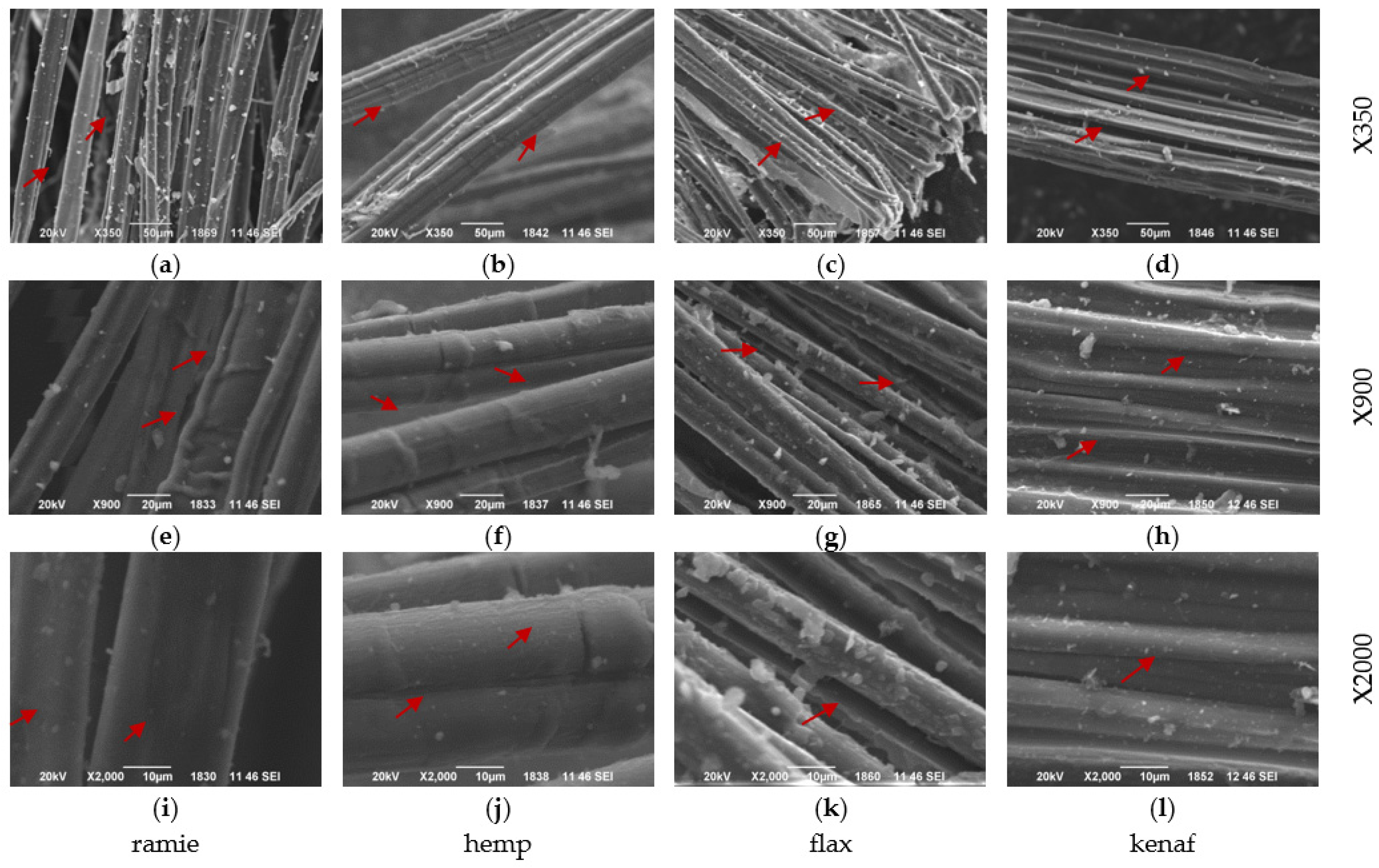 Applsci 14 03582 g002