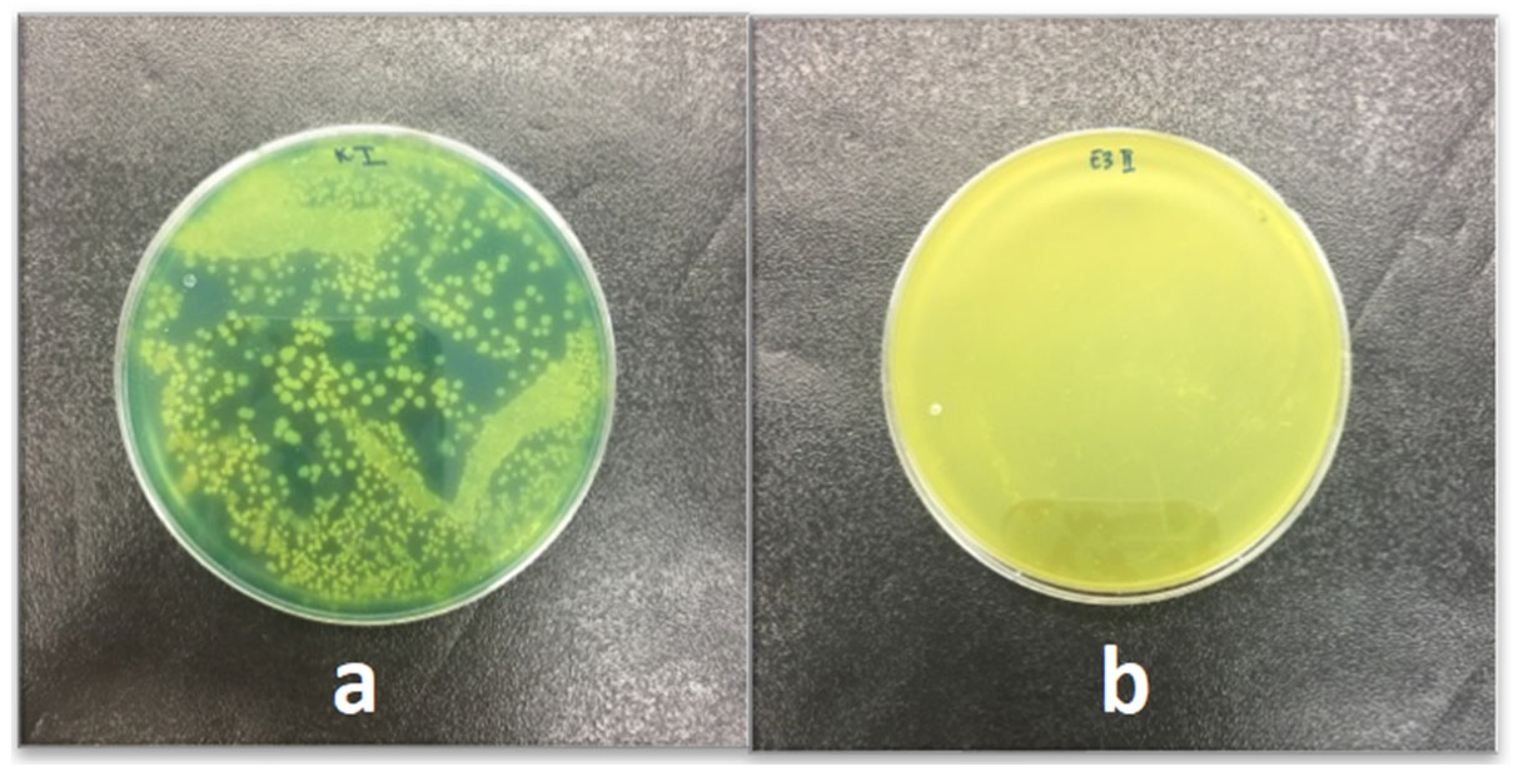 Applsci 14 03603 g001 Applsci 14 03603 g001