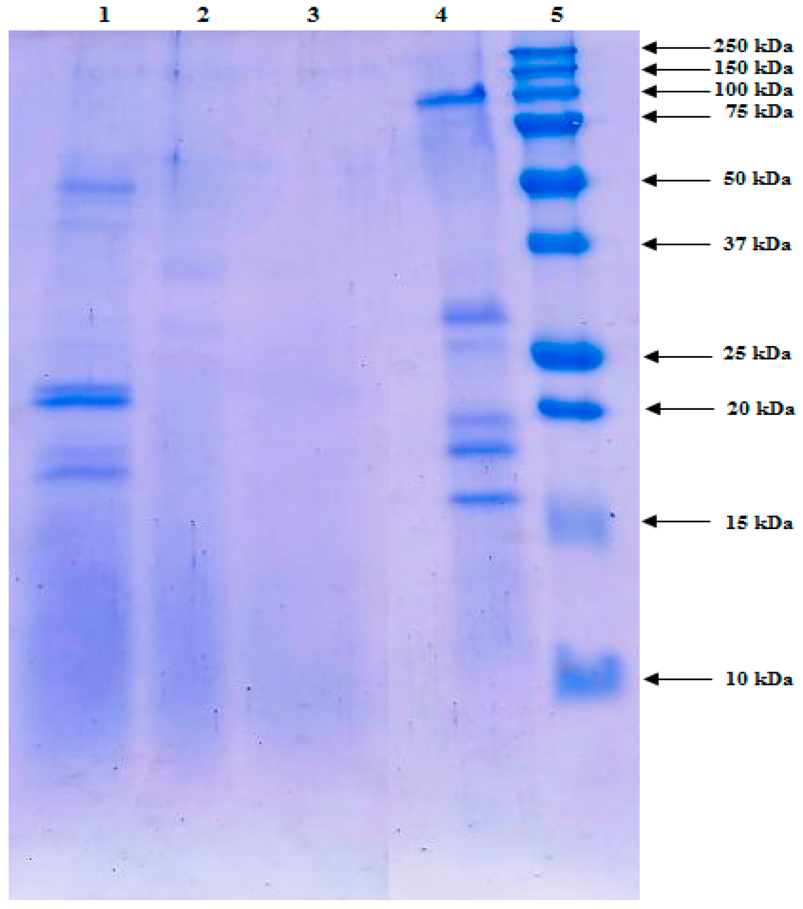 Applsci 14 03612 g002