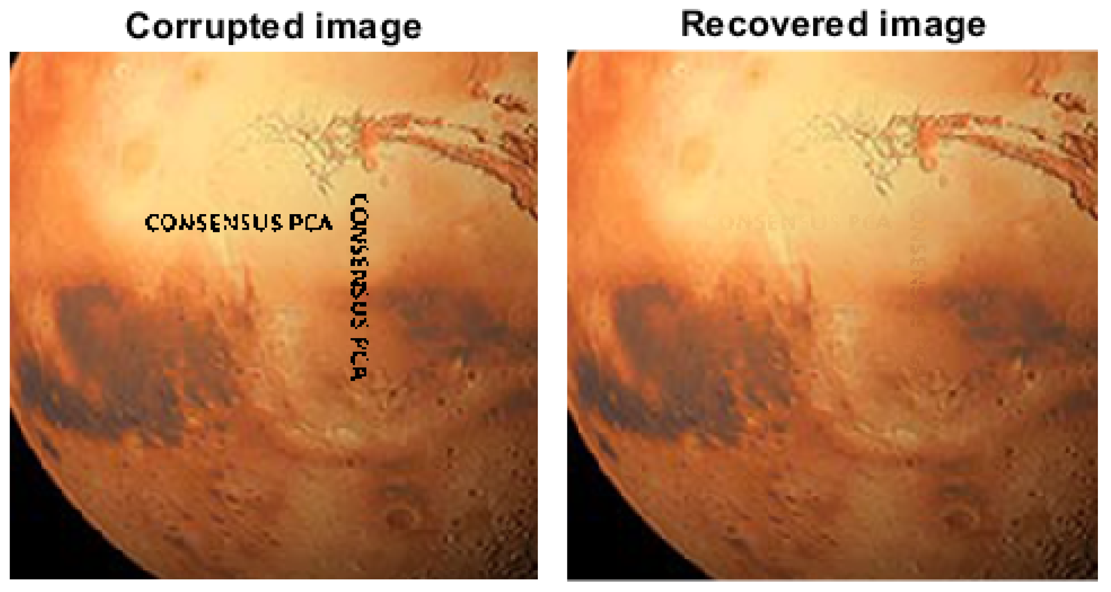 Applsci 14 03619 g009