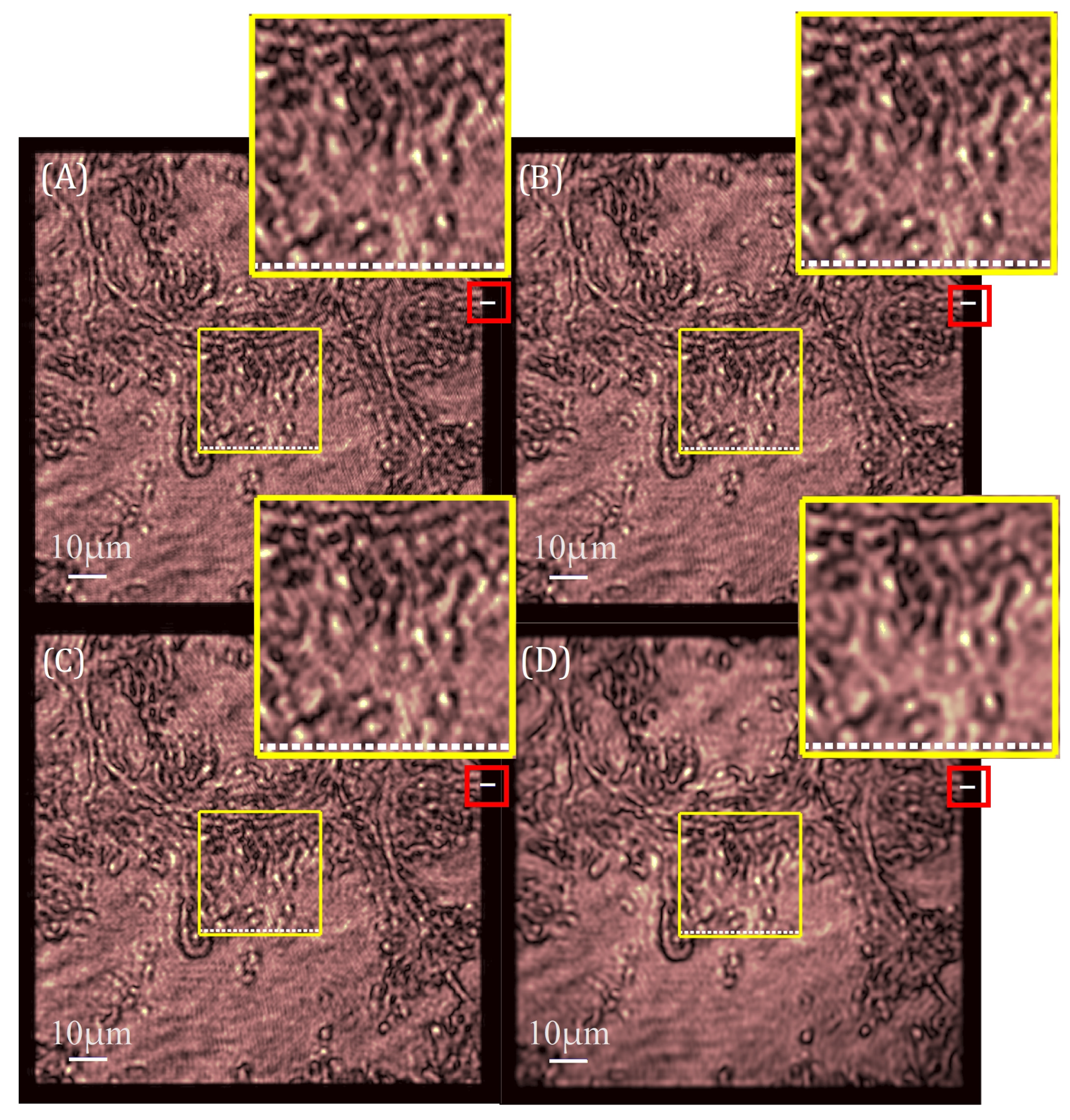 Applsci 14 03632 g009