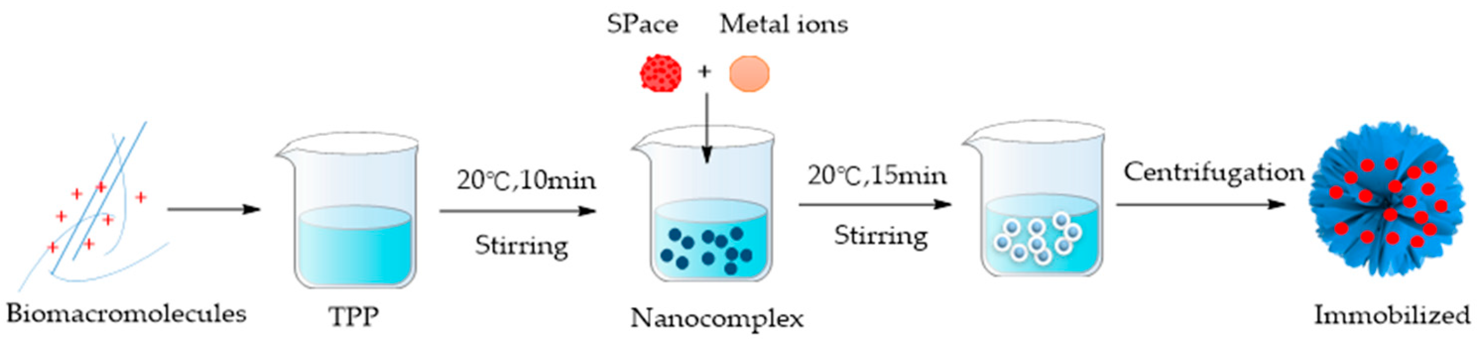 Applsci 14 03702 g004 Applsci 14 03702 g004