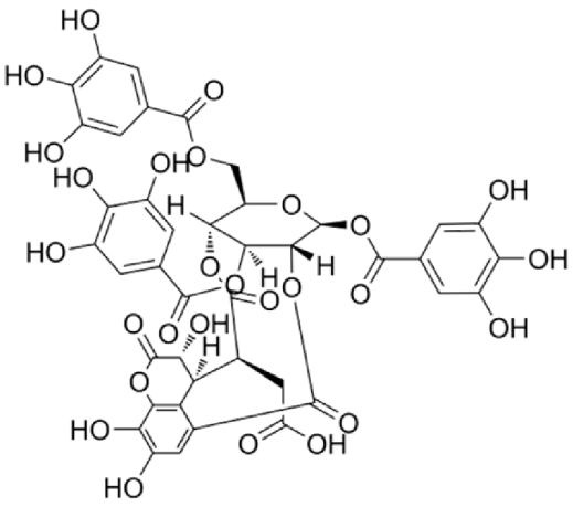 Applsci 14 03728 i018 Applsci 14 03728 i018