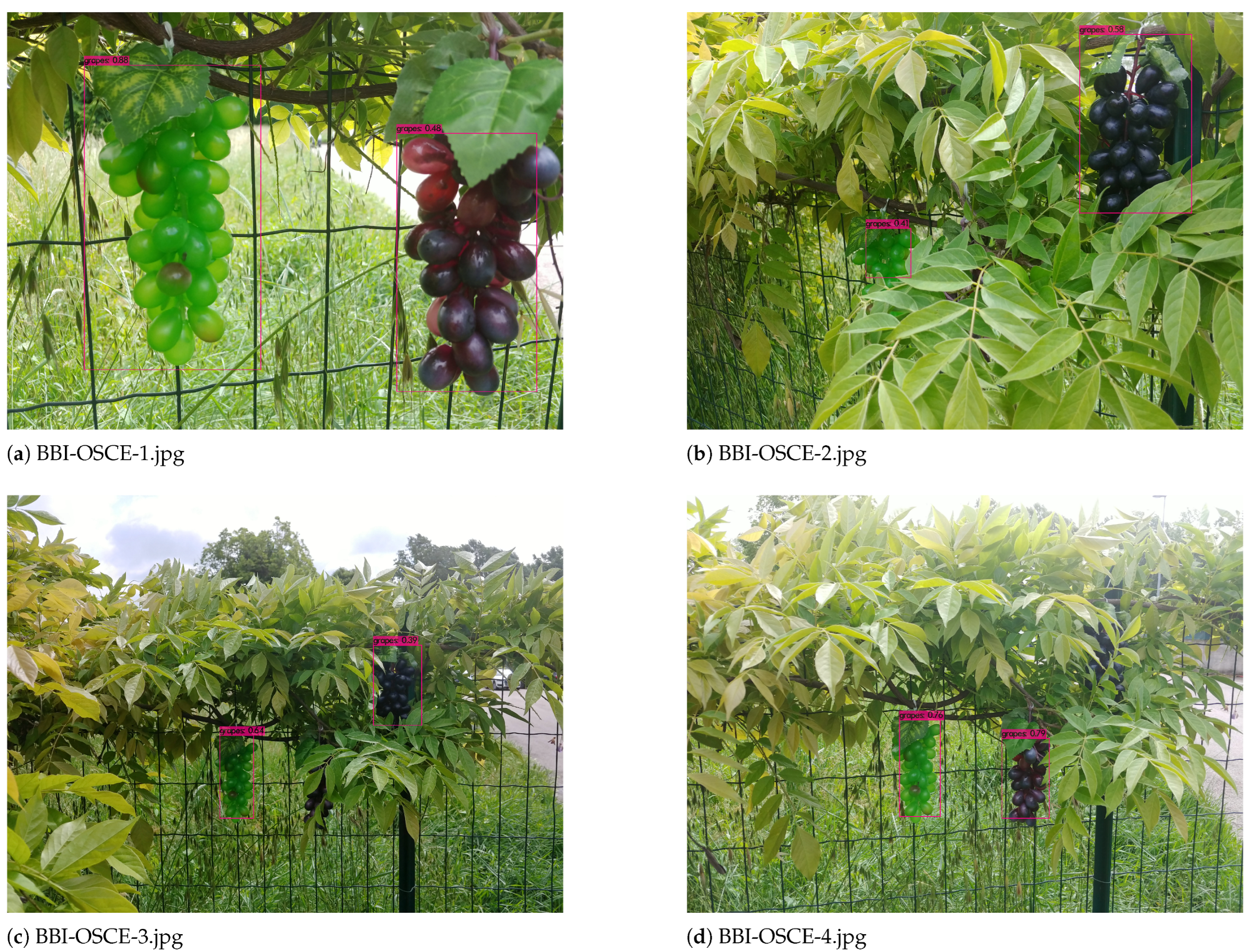 Applsci 14 03777 g007 Applsci 14 03777 g007