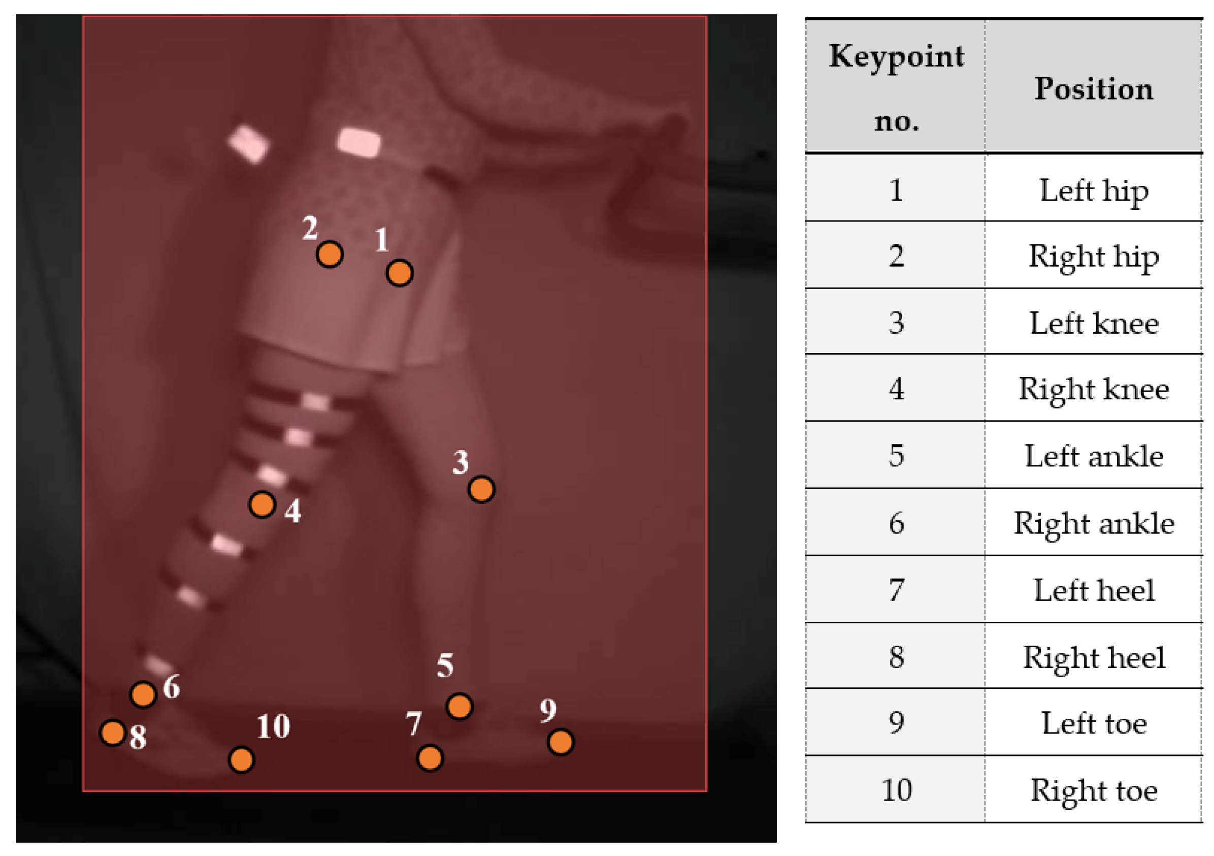 Applsci 14 03867 g003