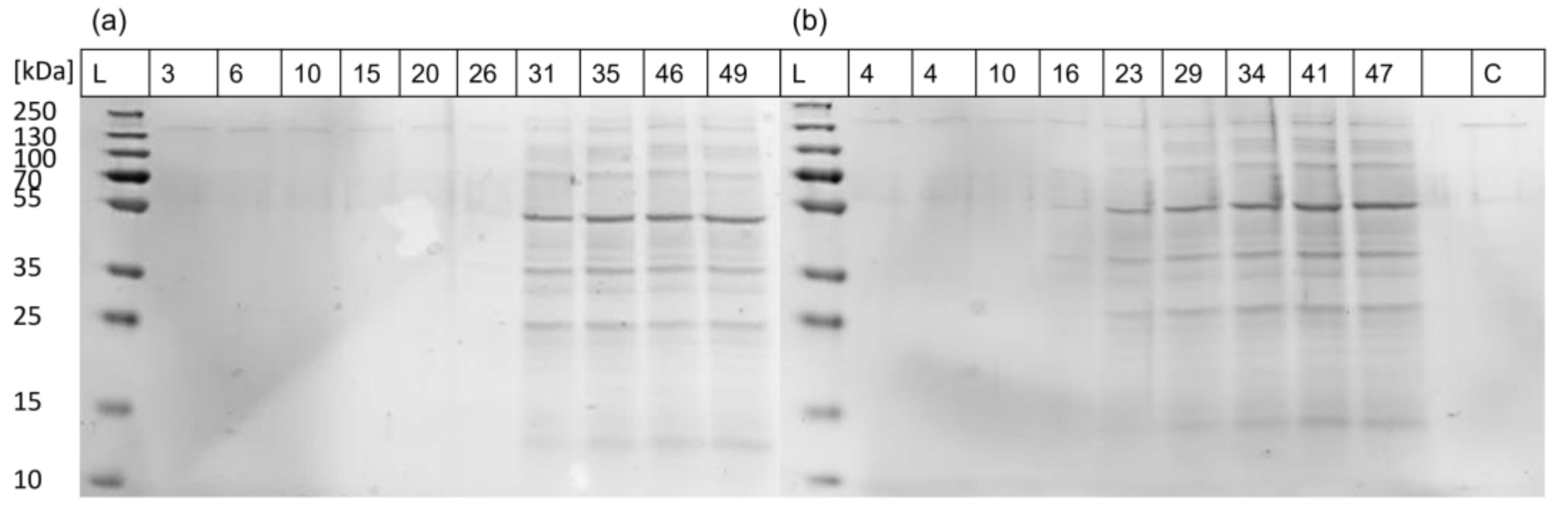 Applsci 14 03886 g009 Applsci 14 03886 g009