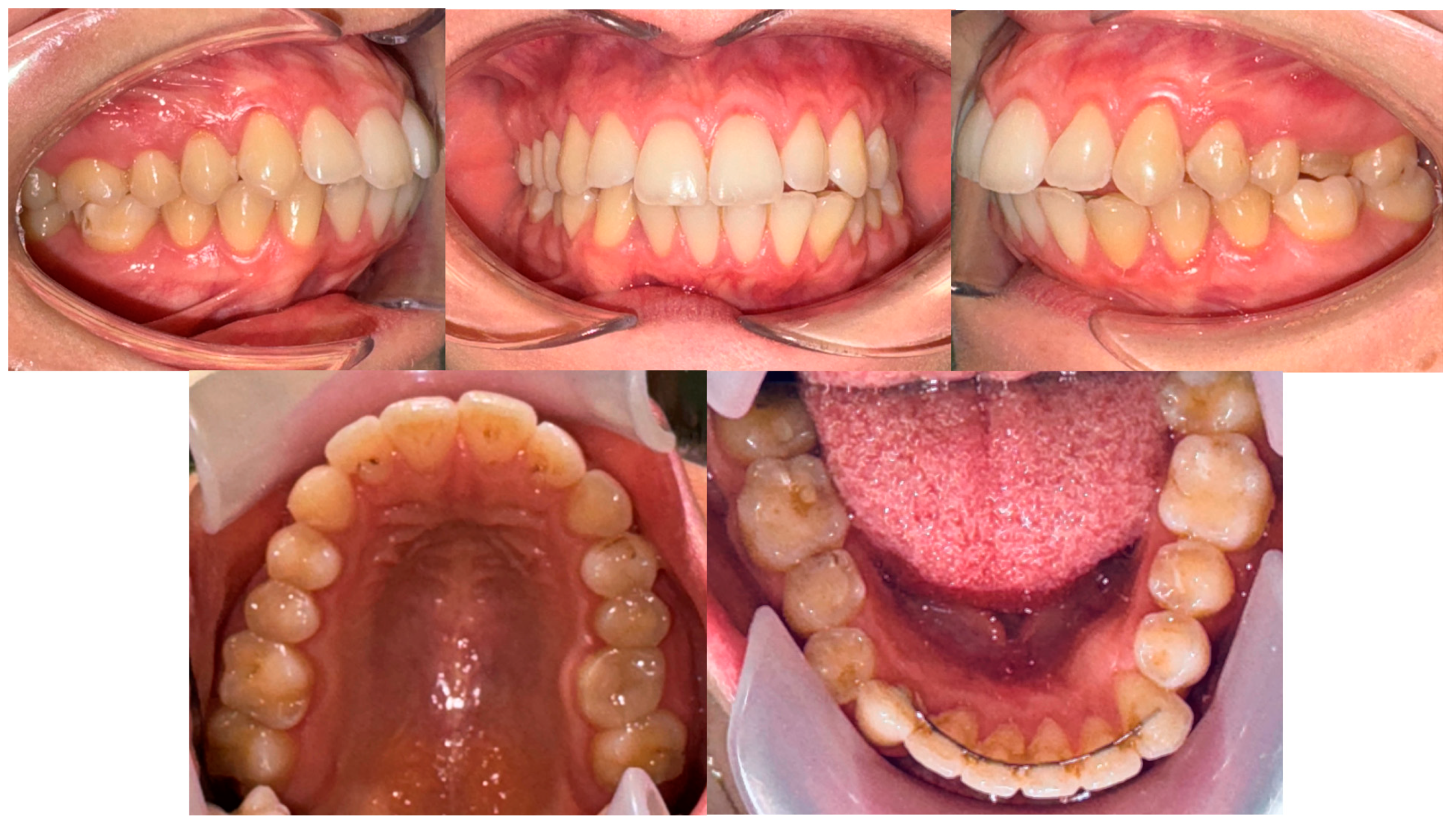 Applsci 14 03889 g001