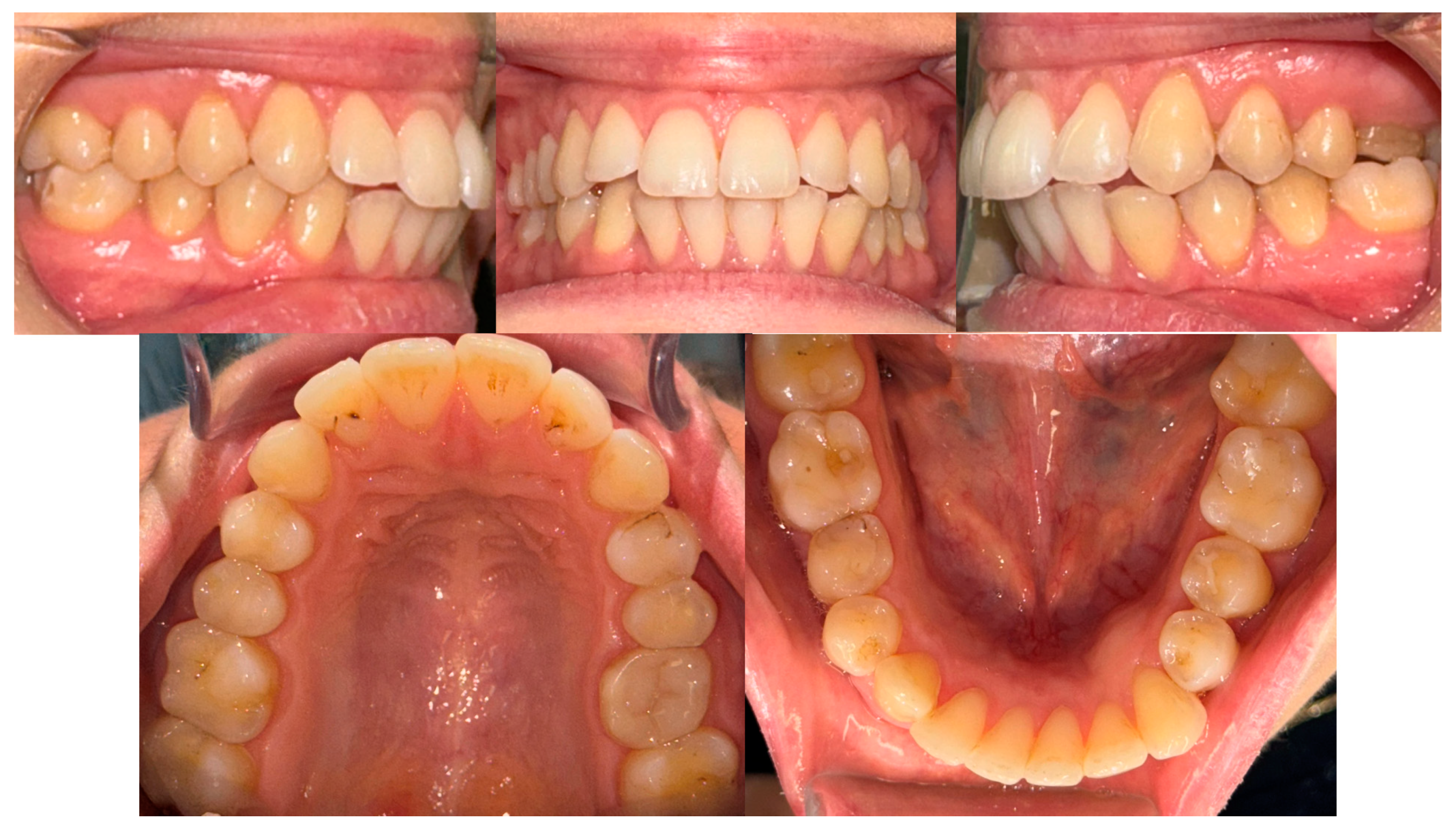 Applsci 14 03889 g004