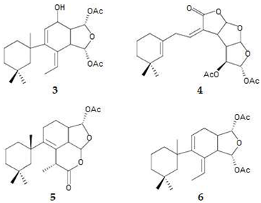Applsci 14 03898 i002