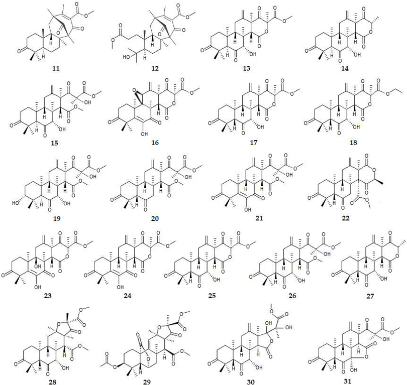 Applsci 14 03898 i004