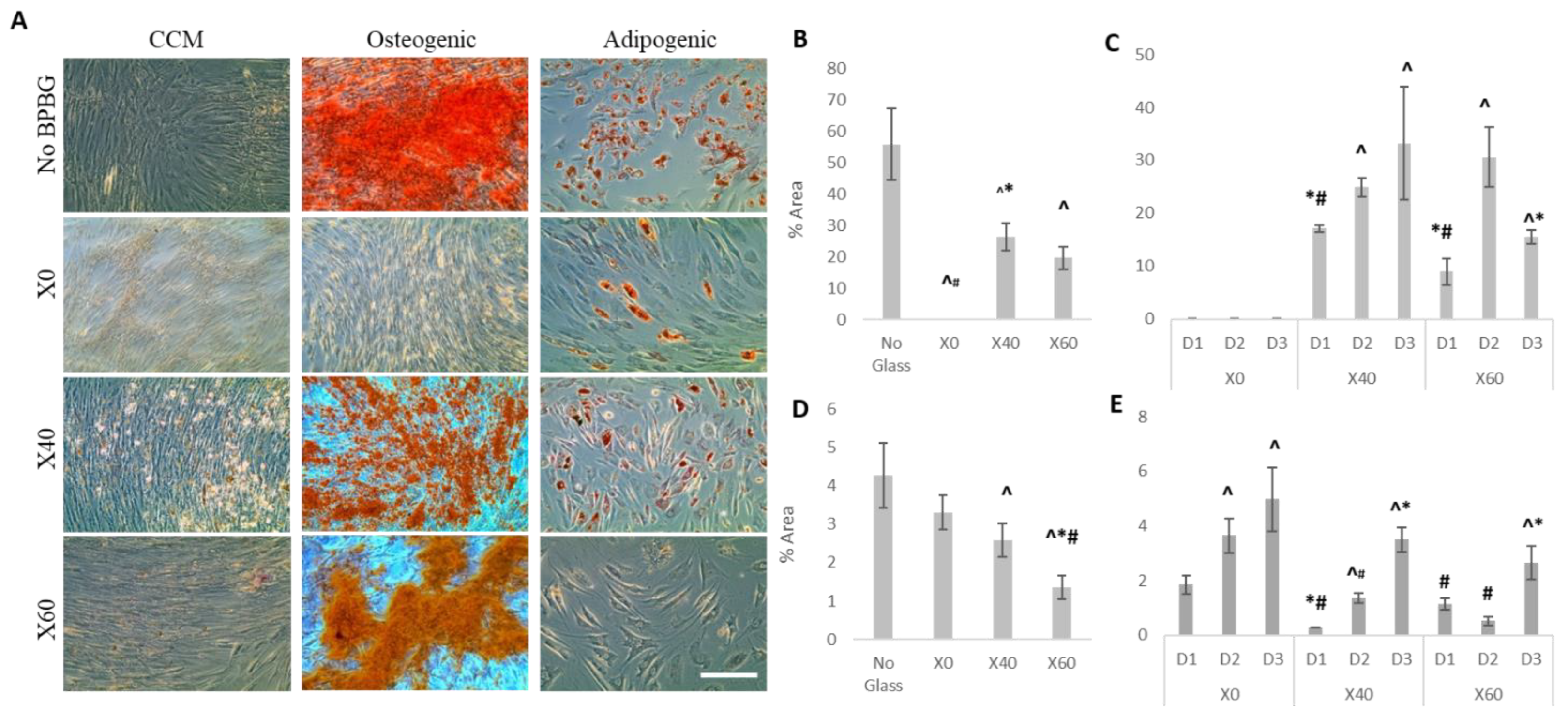 Applsci 14 03906 g002 Applsci 14 03906 g002