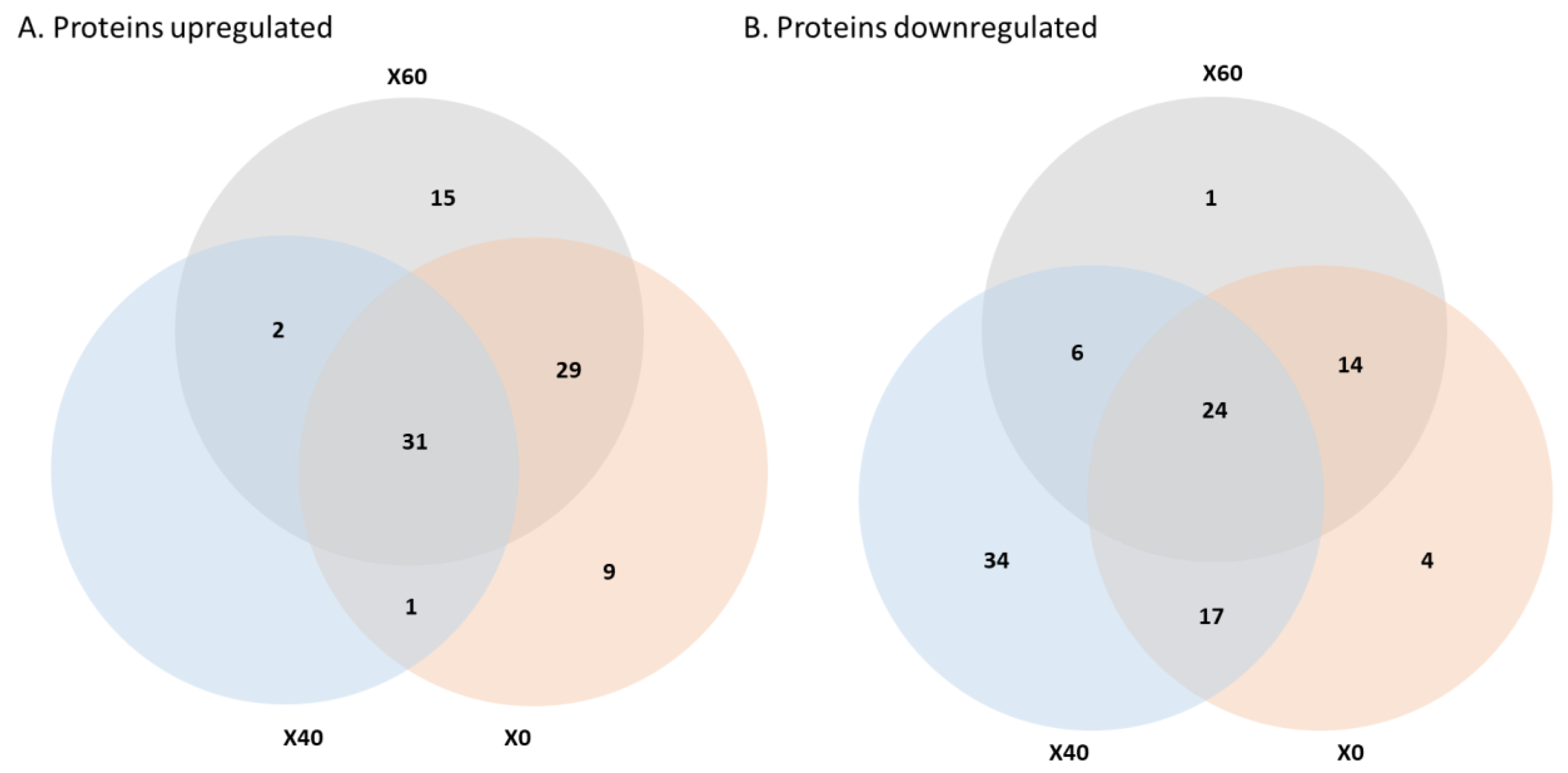 Applsci 14 03906 g005 Applsci 14 03906 g005