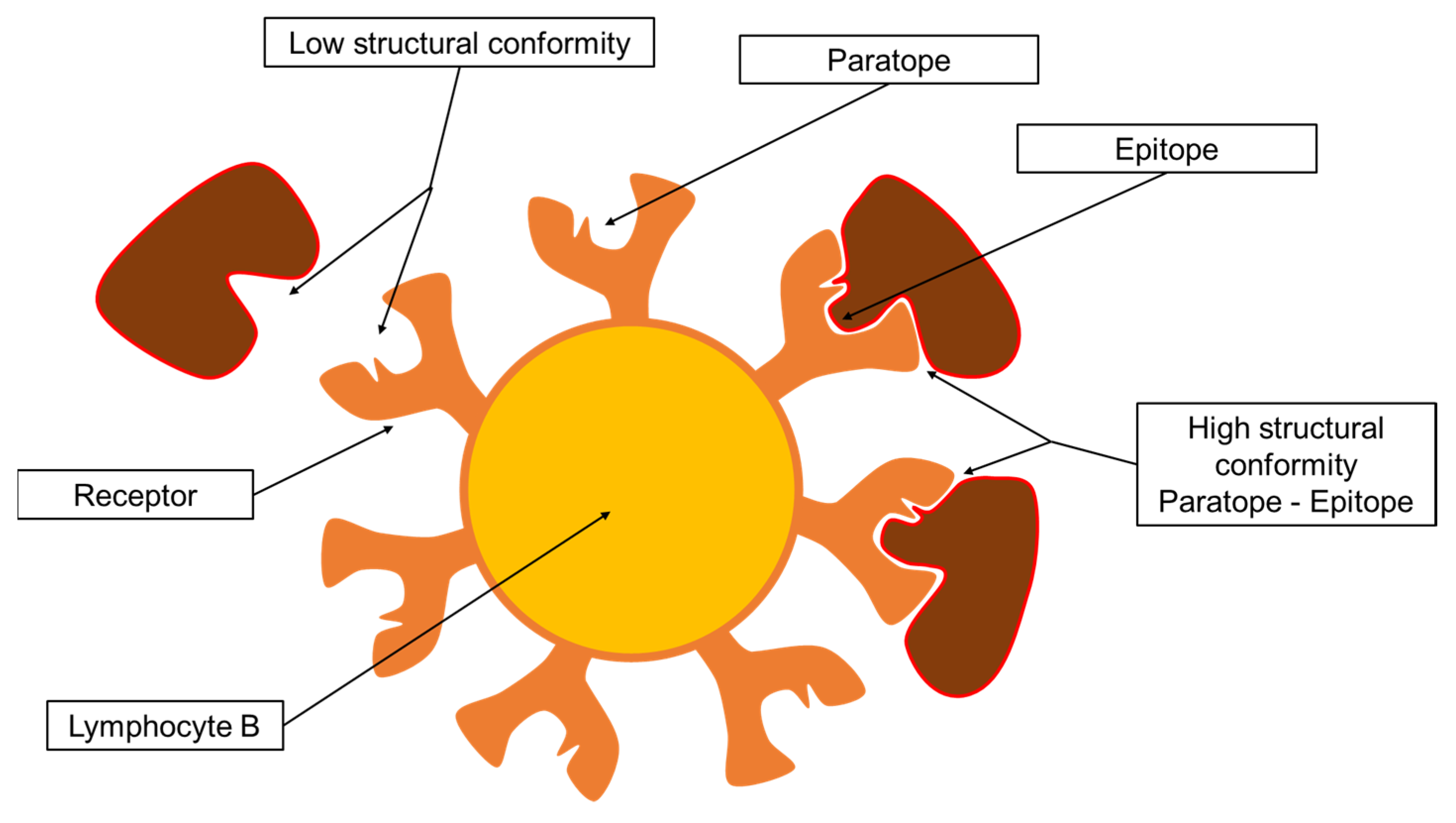 Applsci 14 03991 g005 Applsci 14 03991 g005