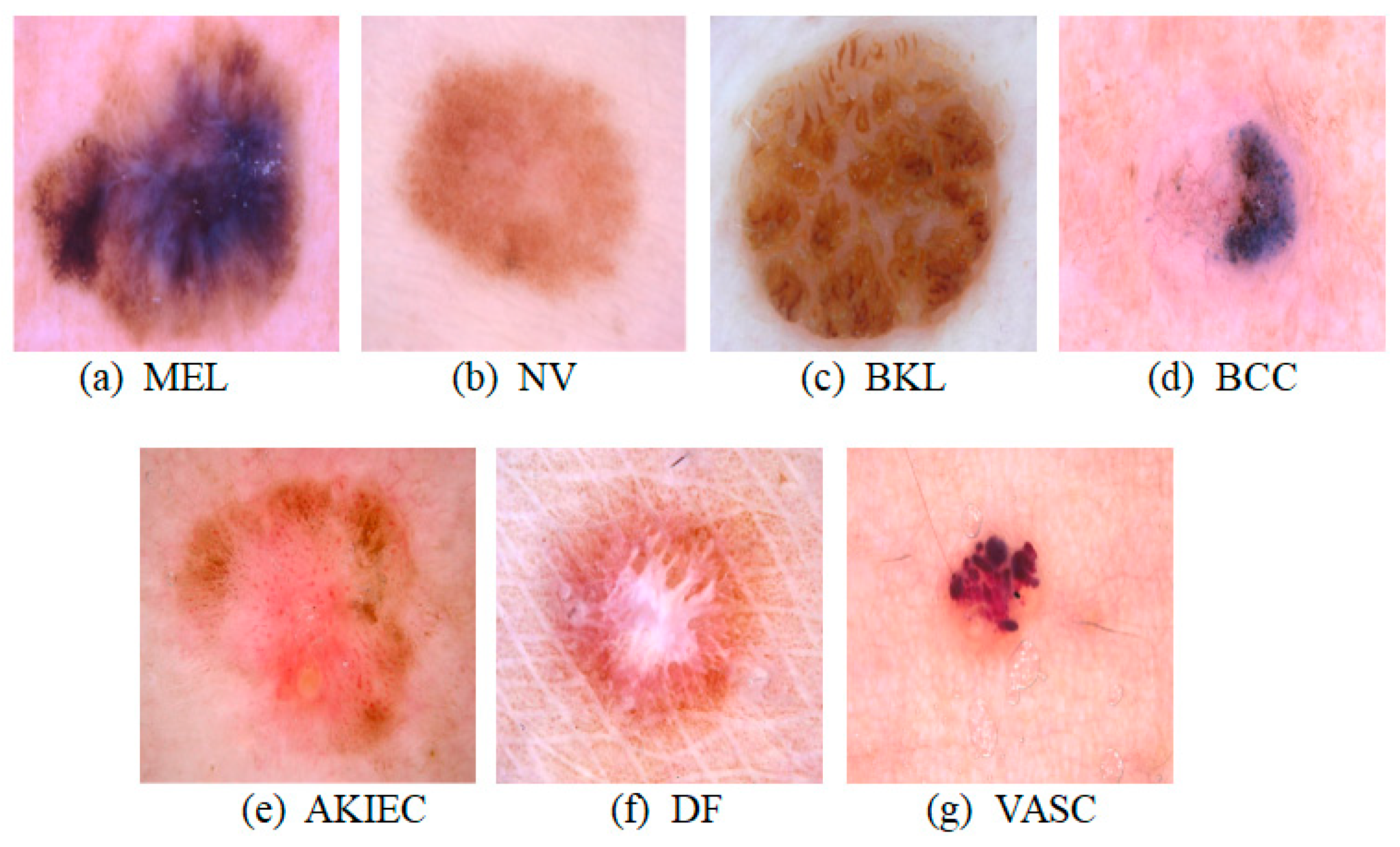 Applsci 14 04005 g001