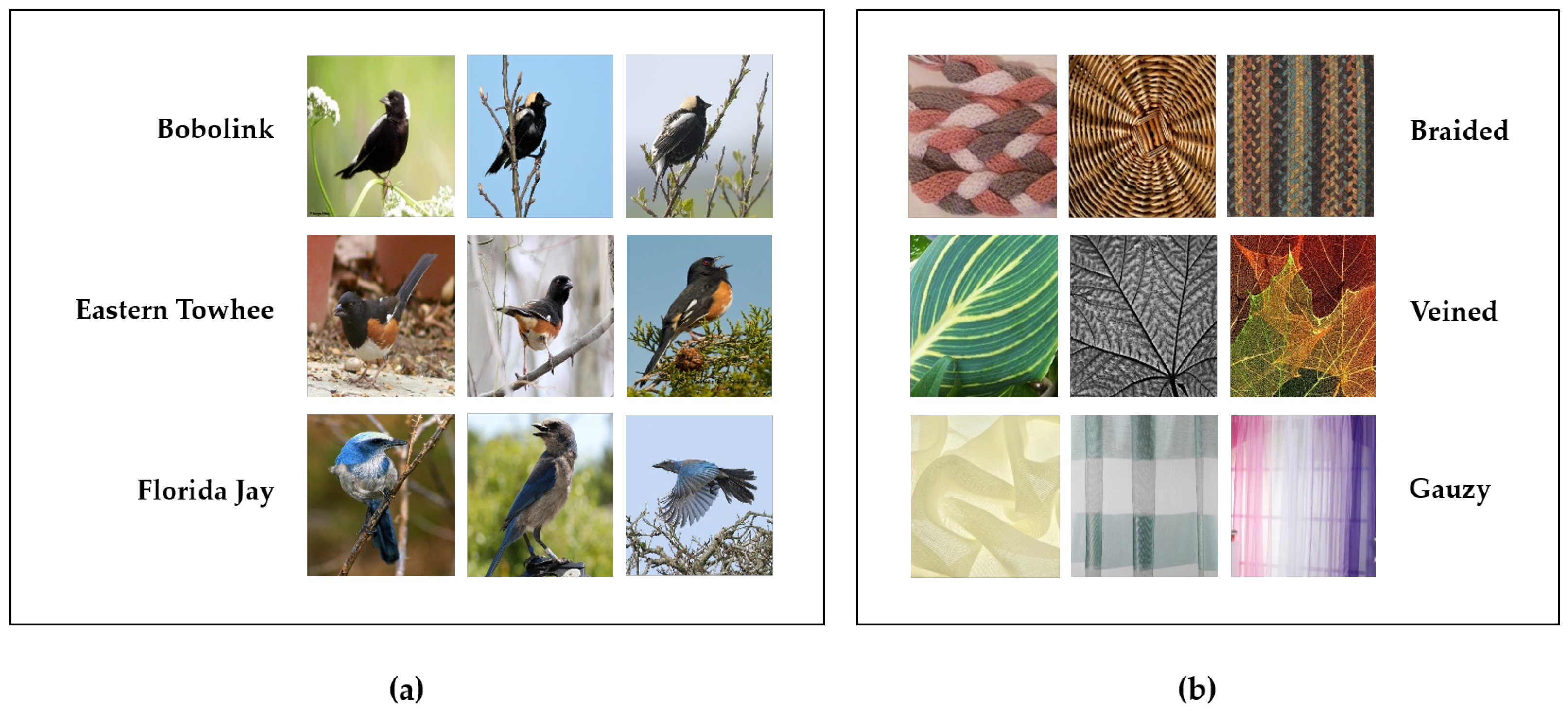 Applsci 14 04011 g001