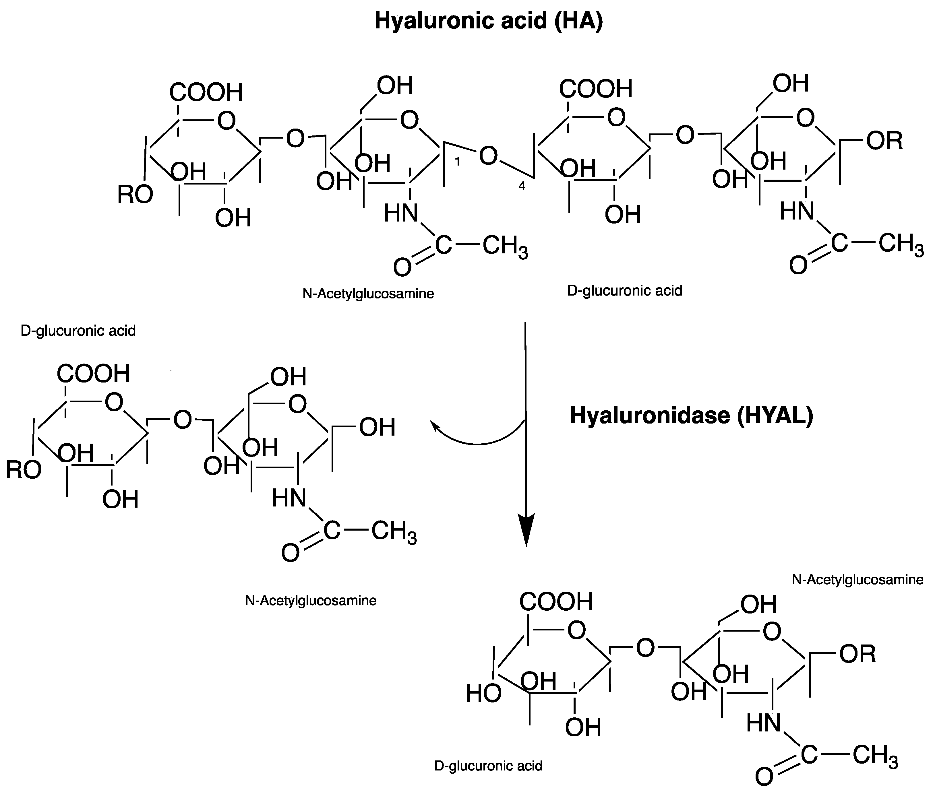 Applsci 14 04037 sch001
