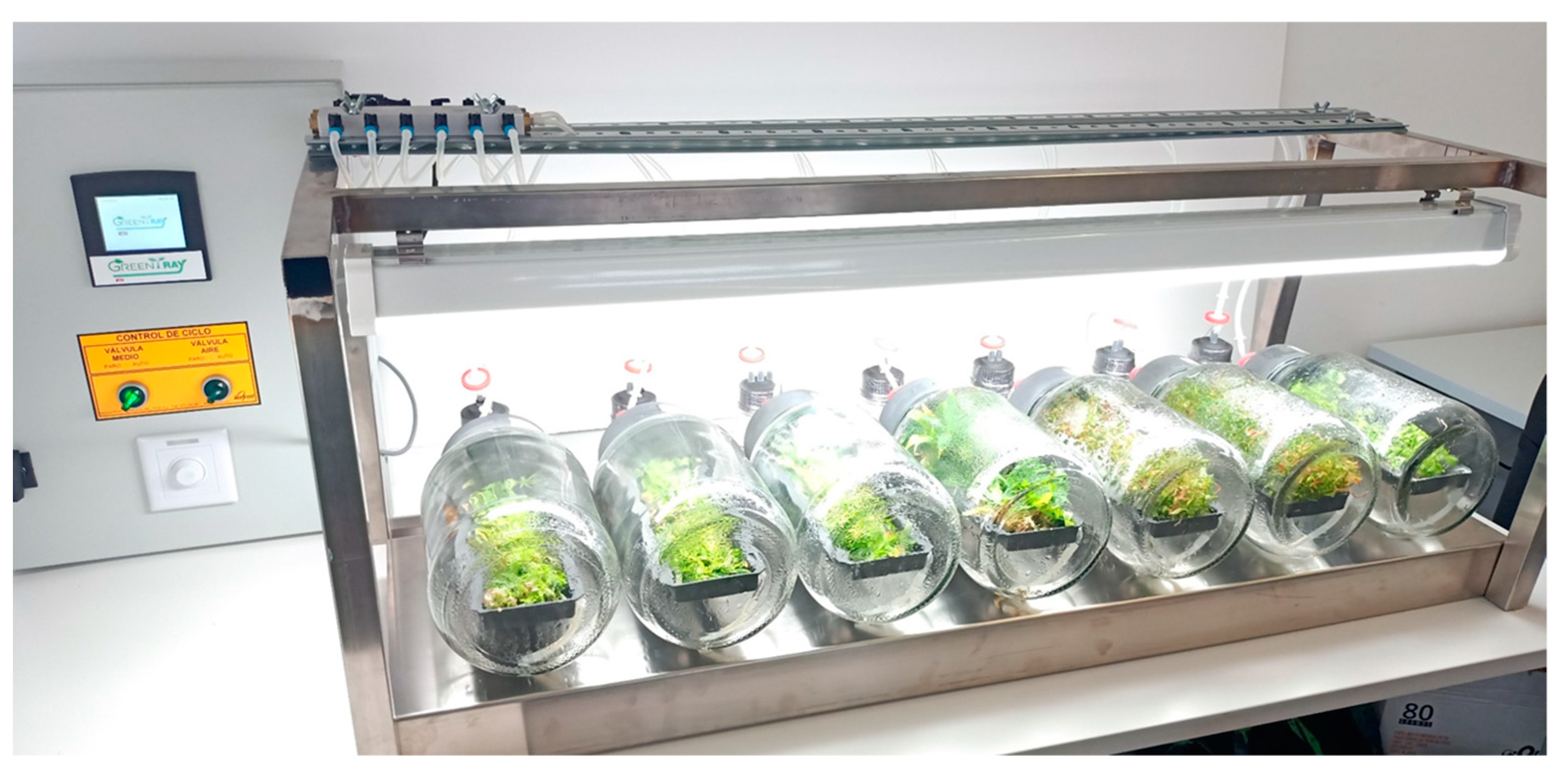 Applsci 14 04051 g003