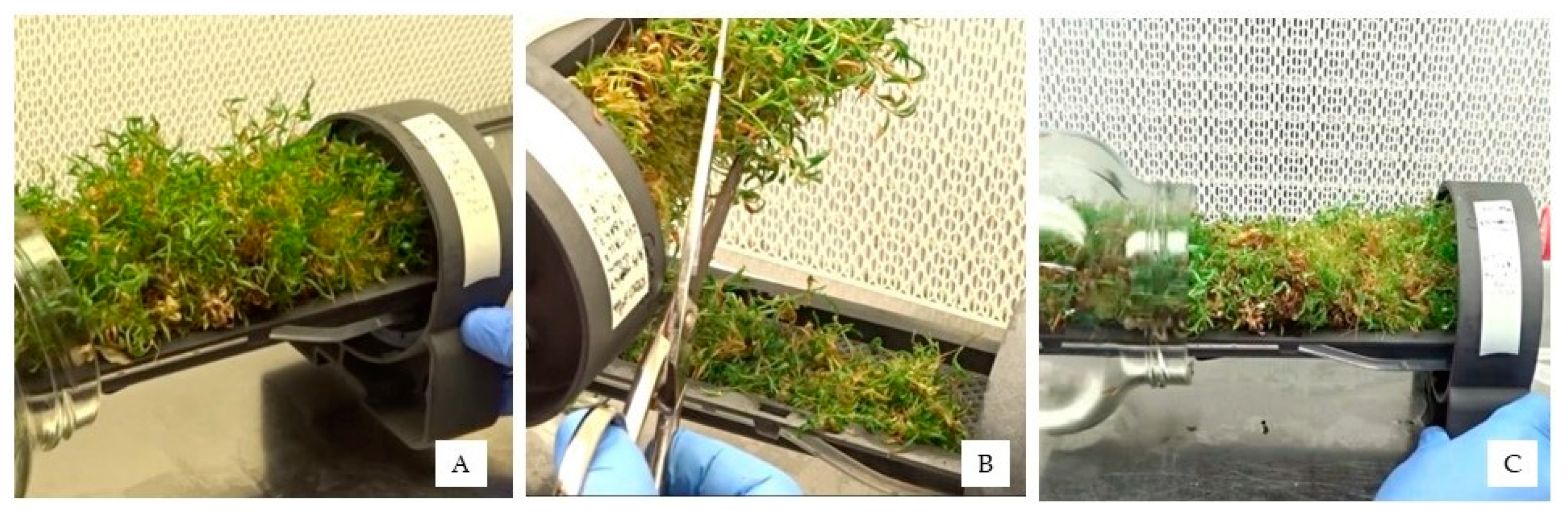 Applsci 14 04051 g004