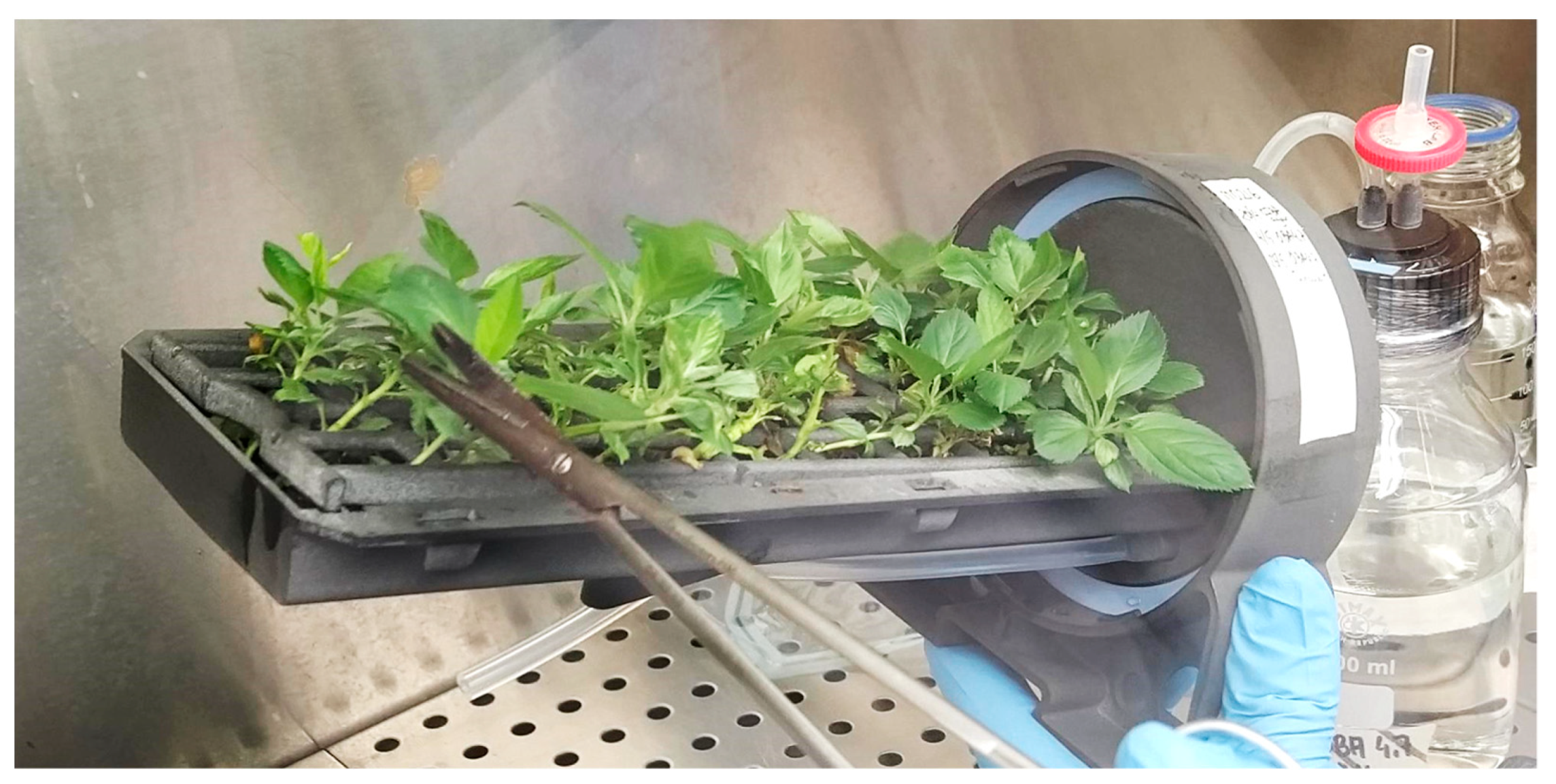 Applsci 14 04051 g005