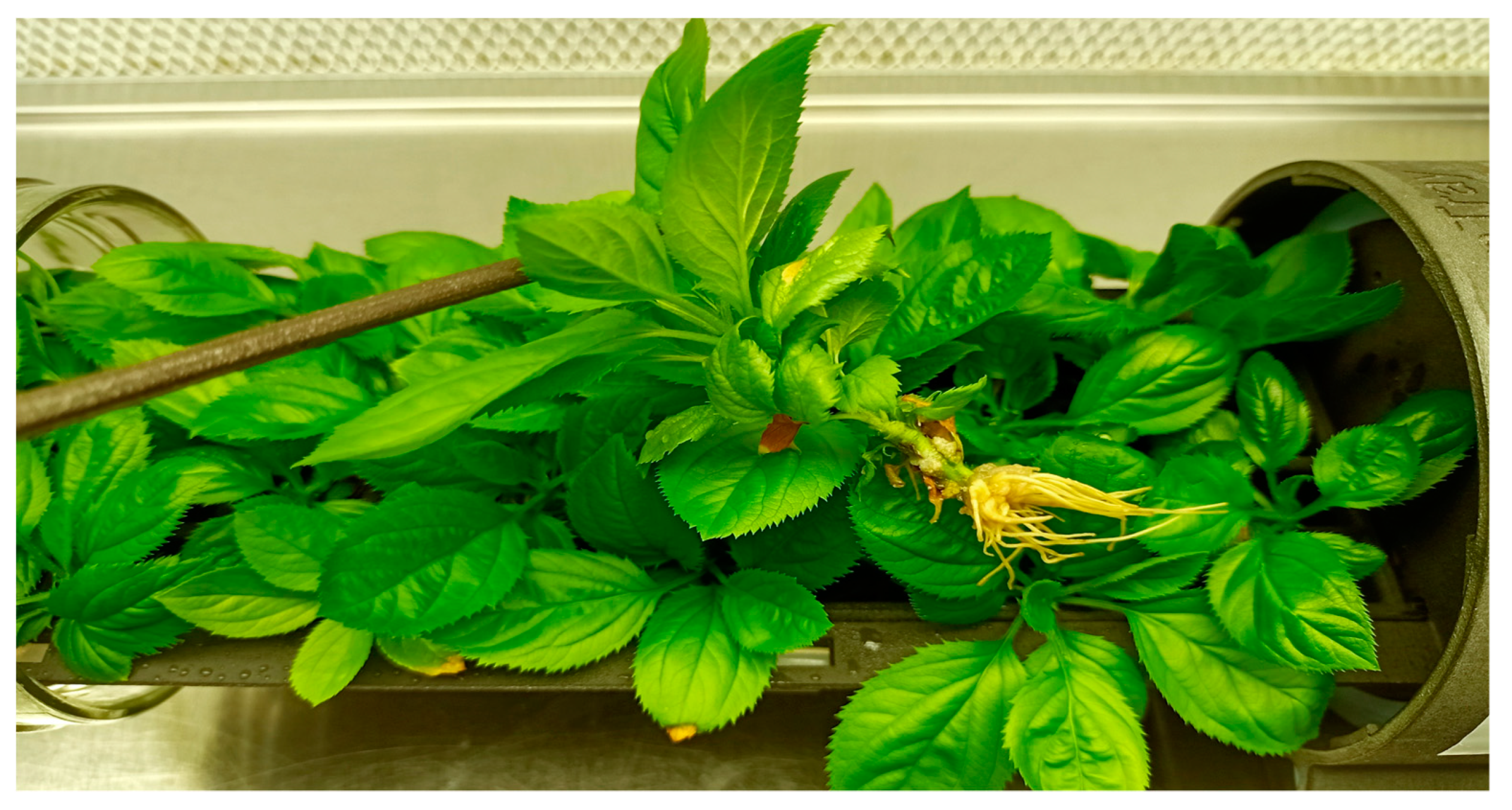 Applsci 14 04051 g008