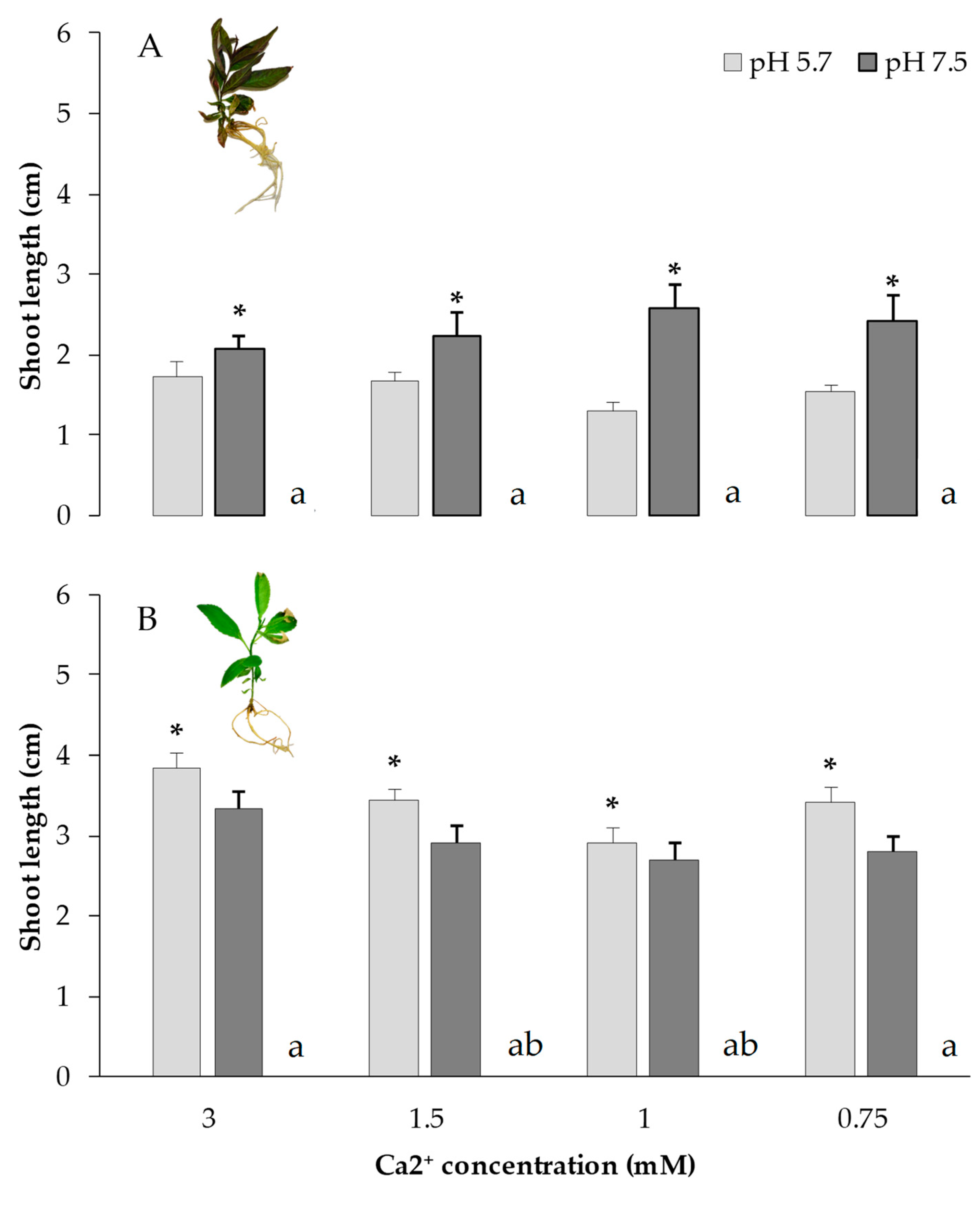 Applsci 14 04051 g010