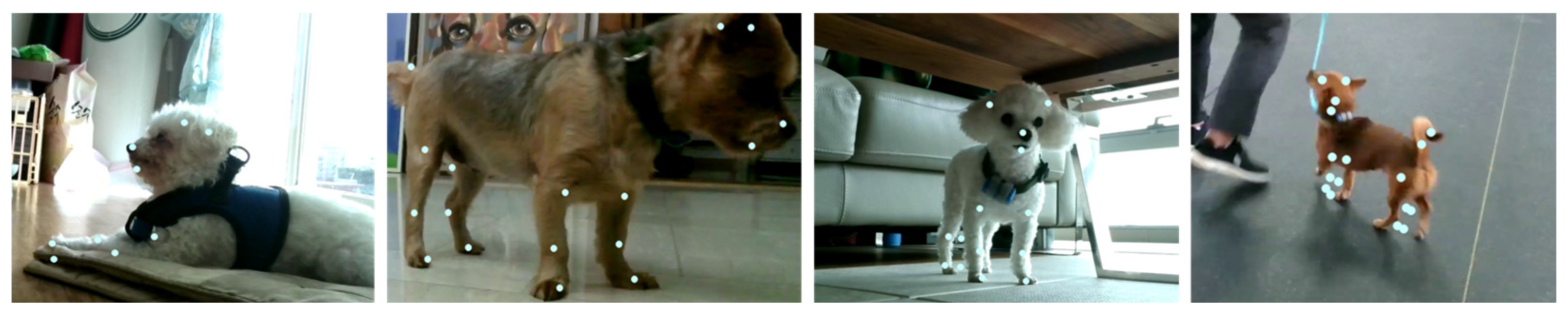 Applsci 14 04091 g010