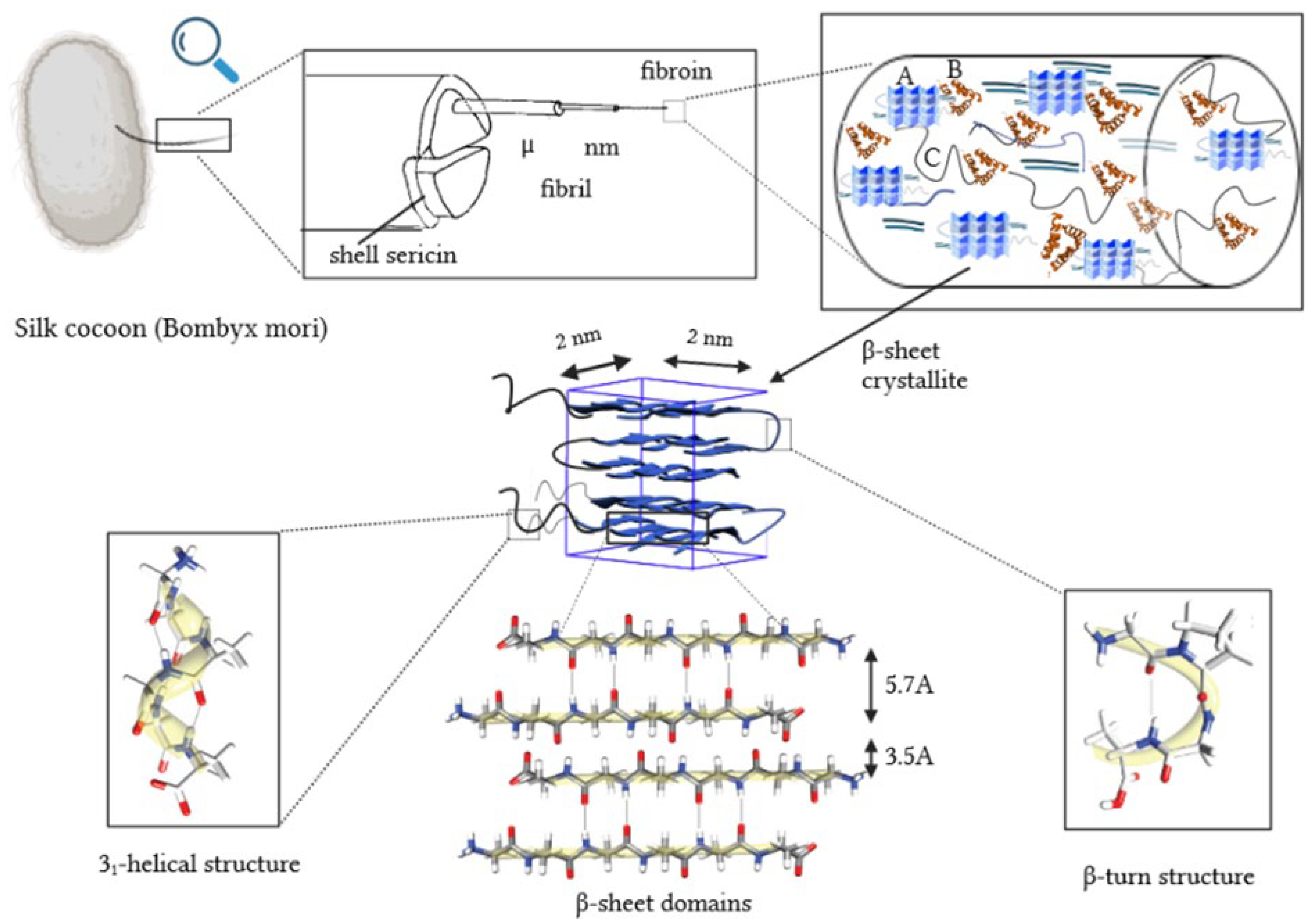 Applsci 14 04131 g001 Applsci 14 04131 g001