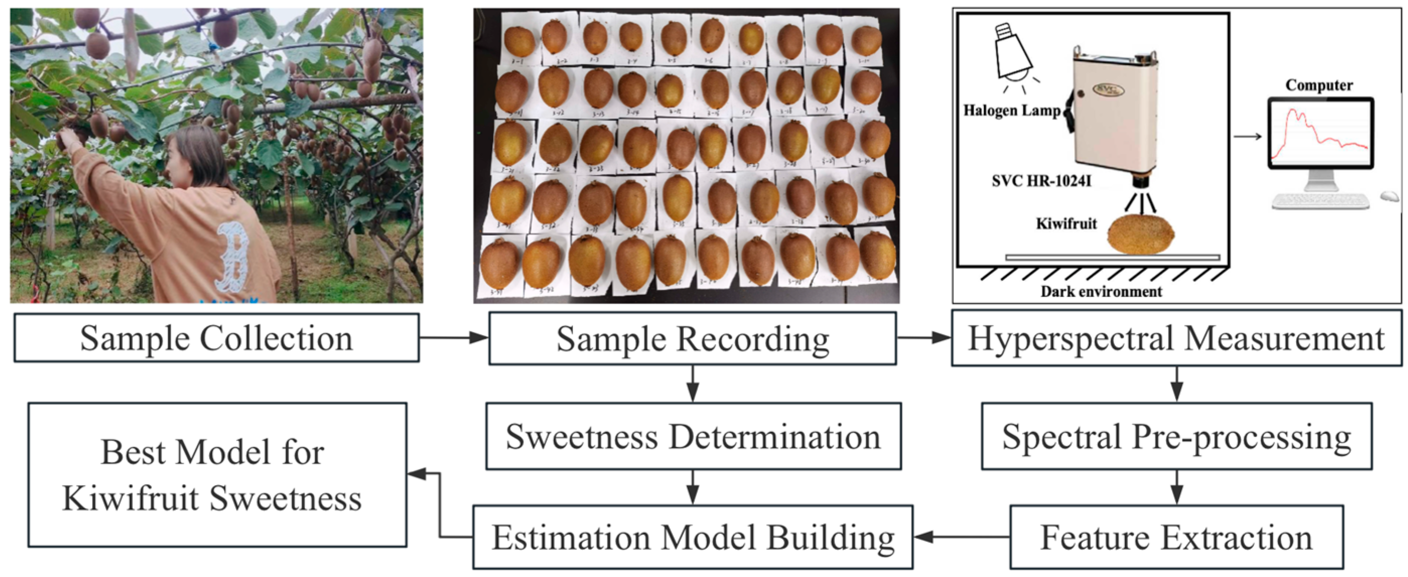 Applsci 14 04145 g002